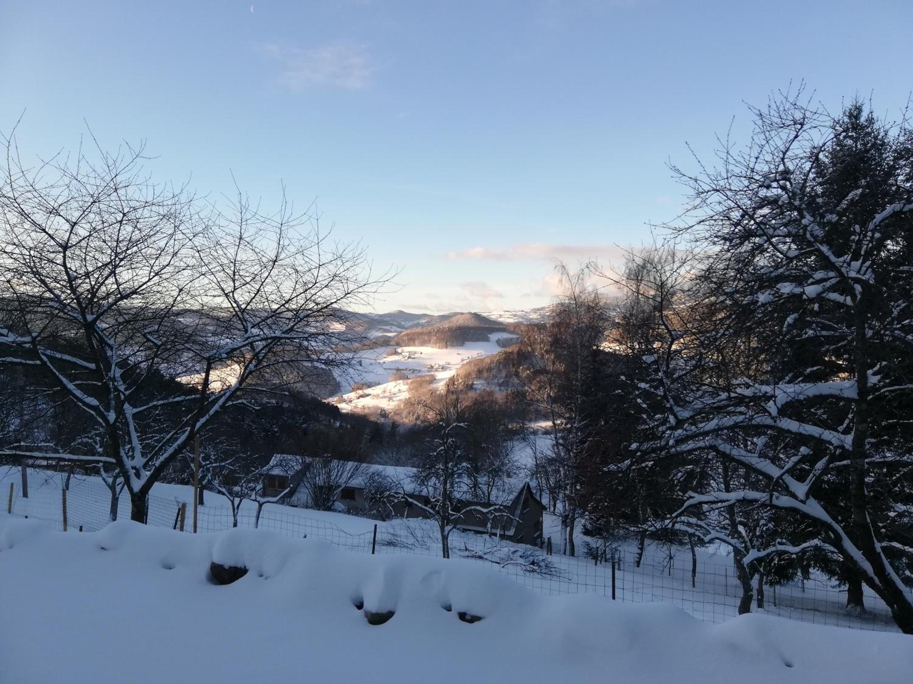 Le nid du Kaloui view 5
