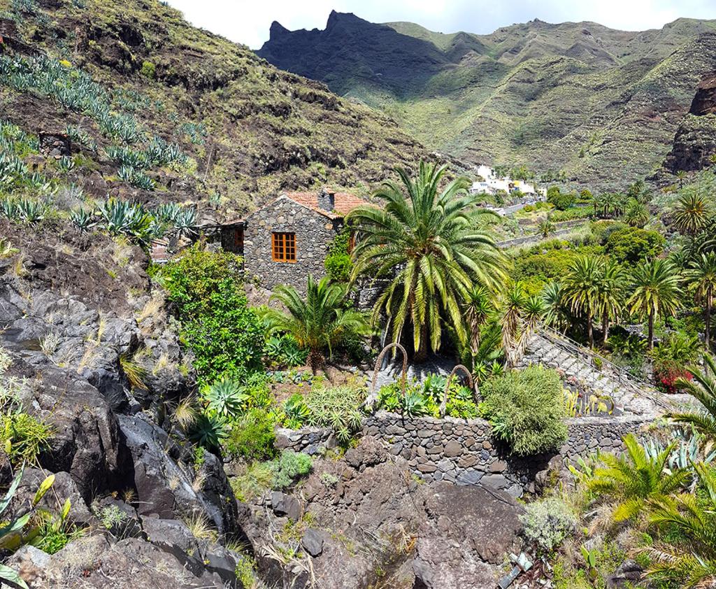 CASA RURAL LOS FRONTONES view 5
