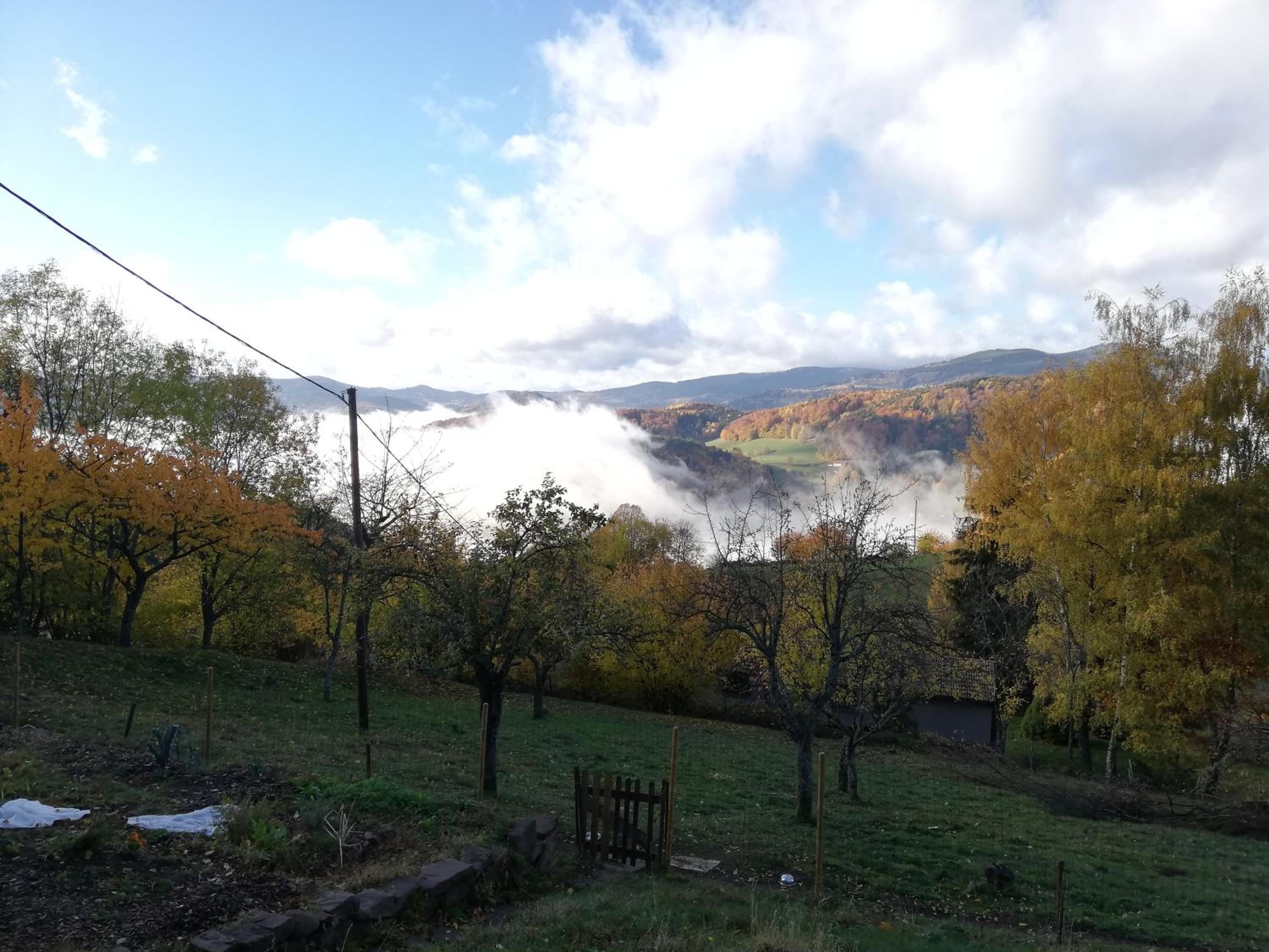 Le nid du Kaloui view 4