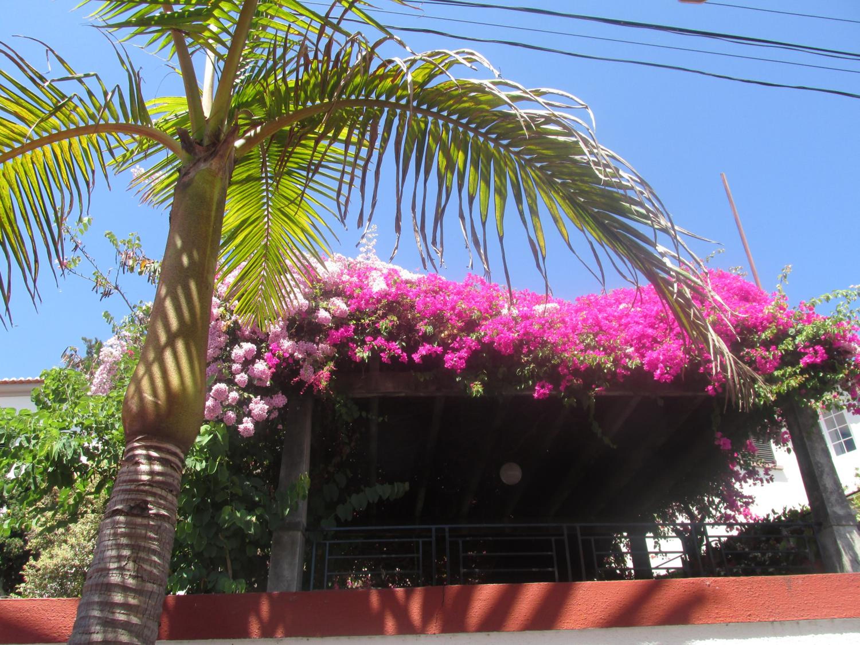 Photo 49