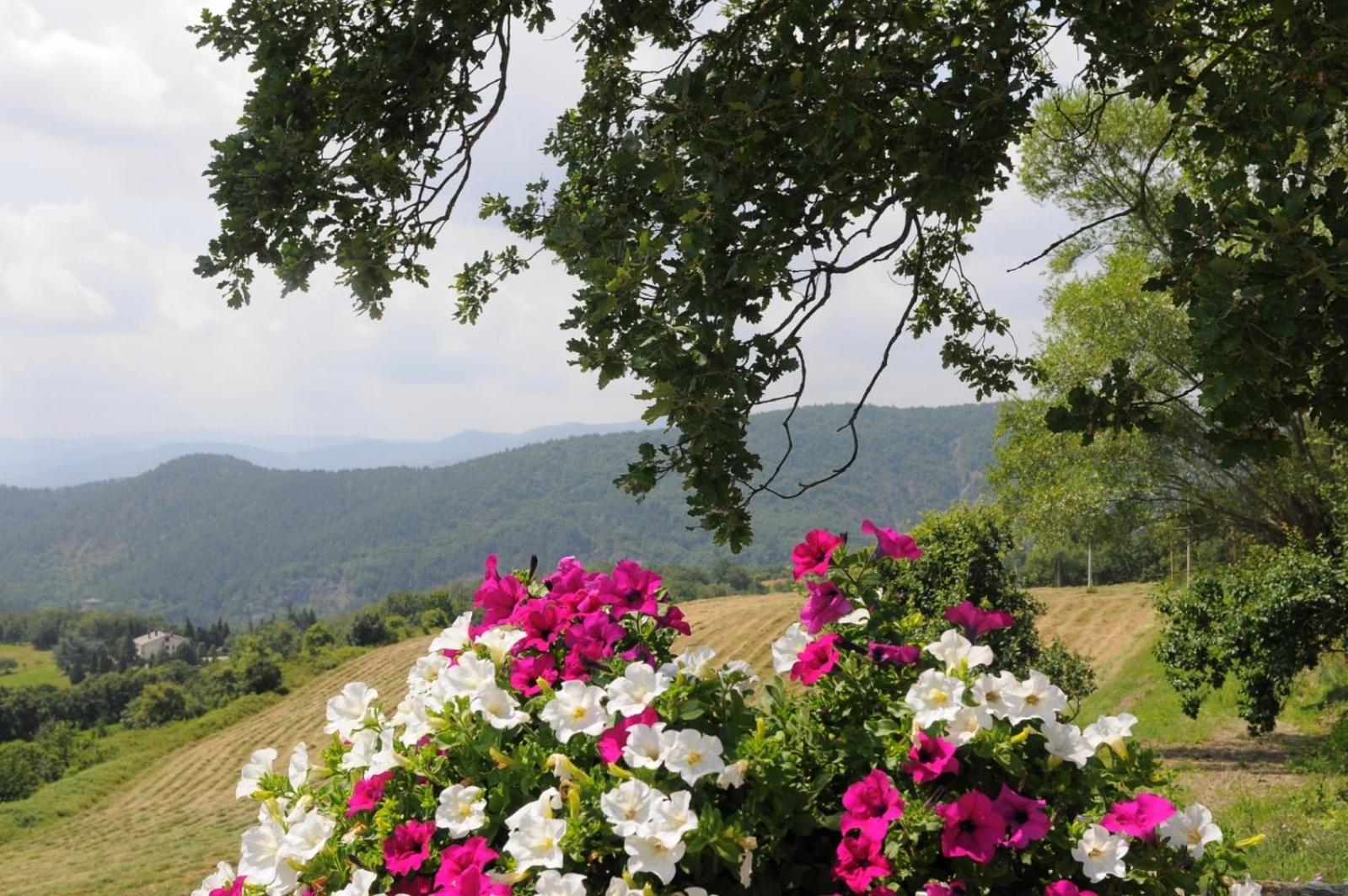 Locanda Del Viandante B&B