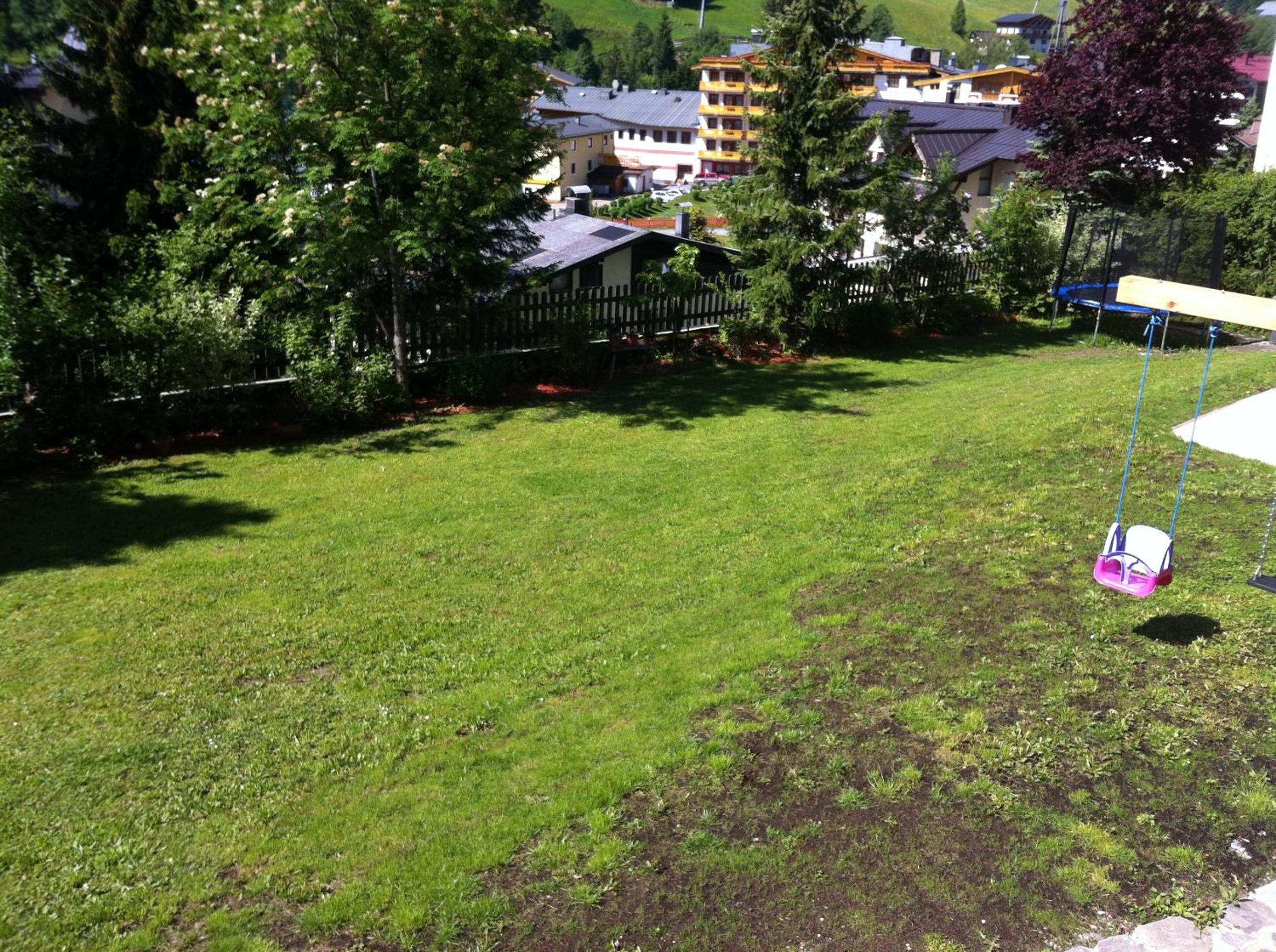 Photo 41
