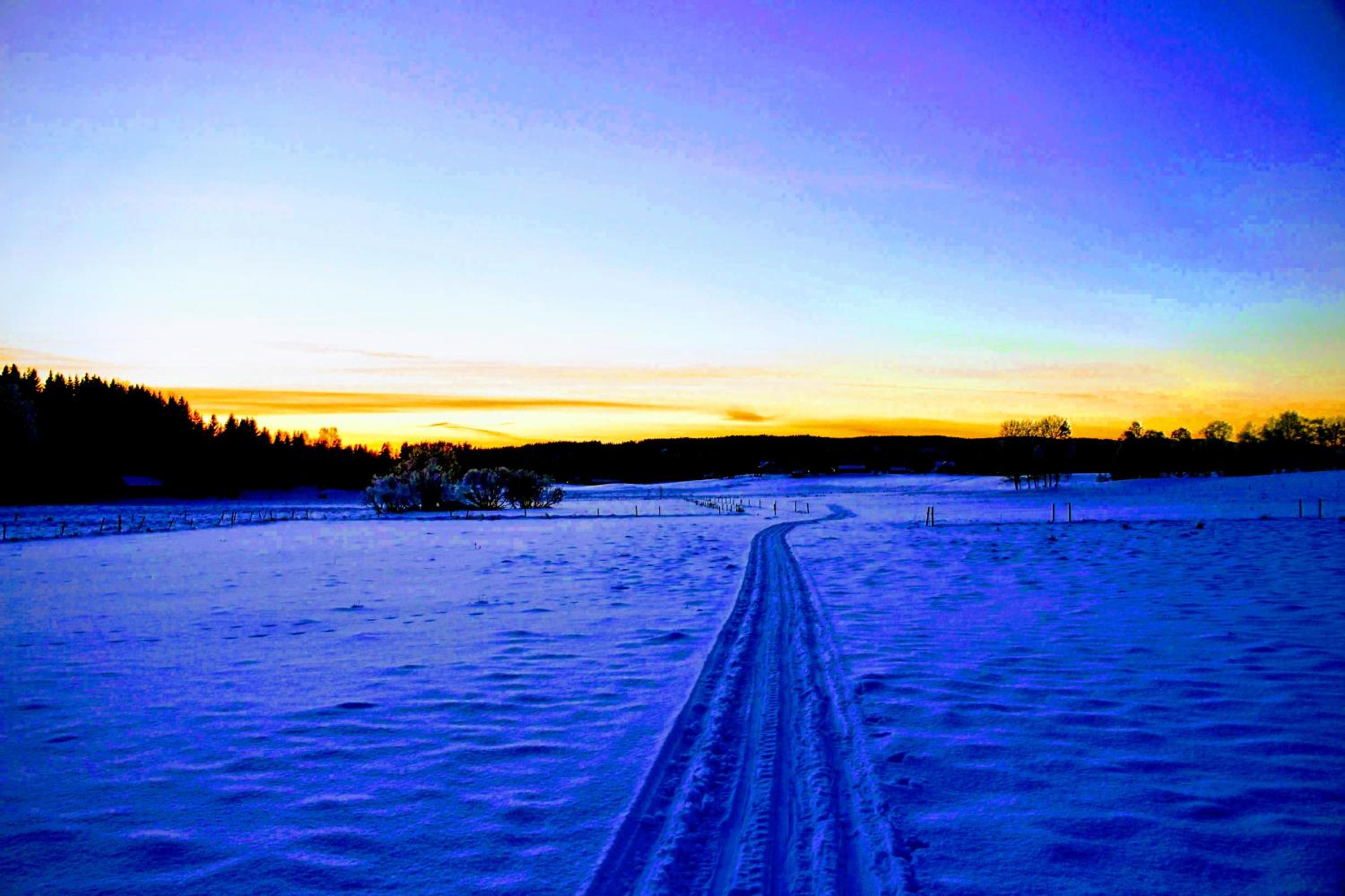 Photo 44