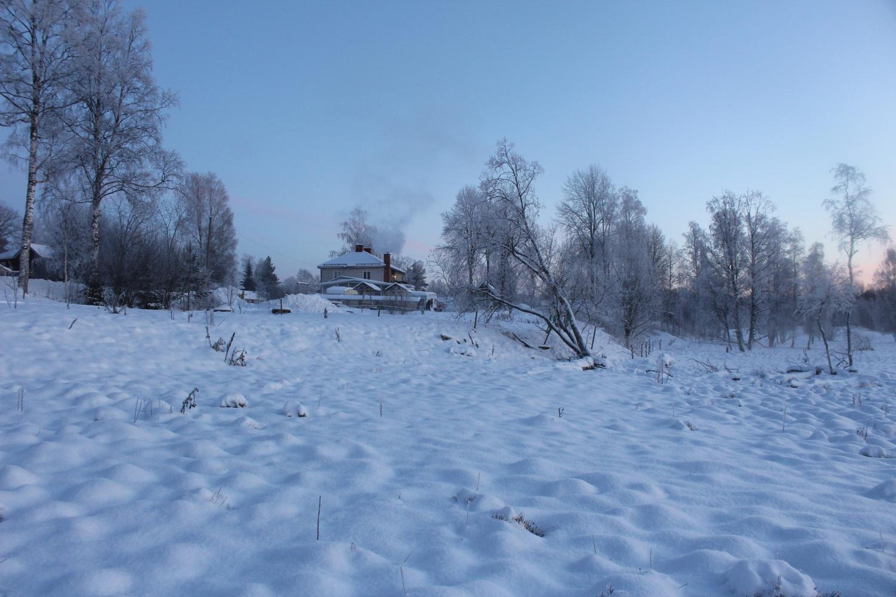 Photo 43