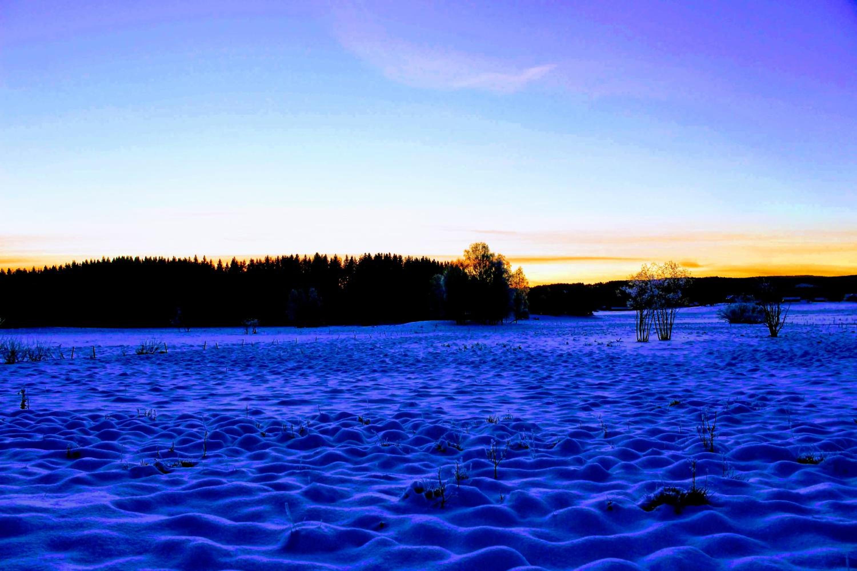 Photo 41