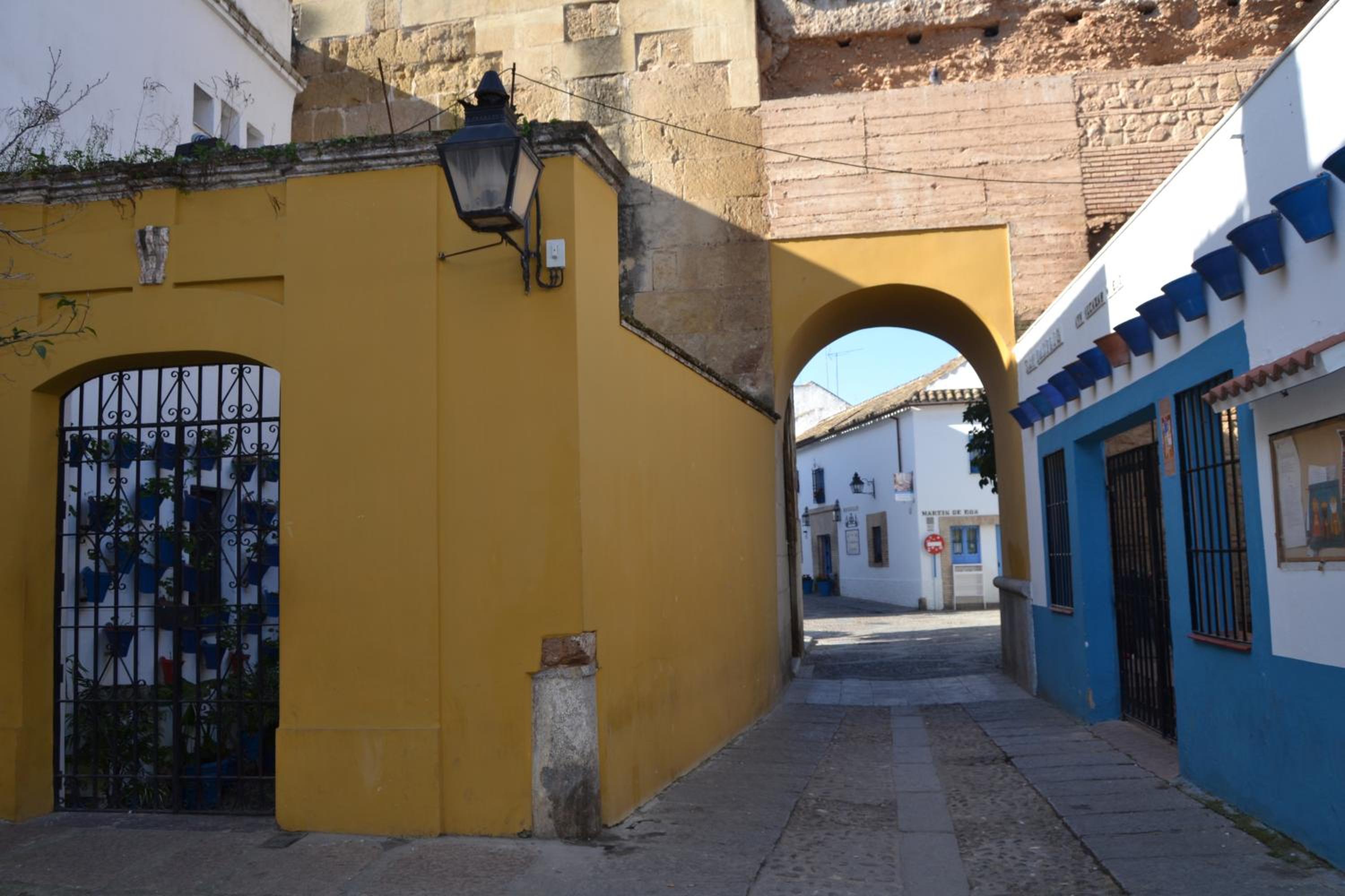 Nuevo Sueño del Alcazar view 5