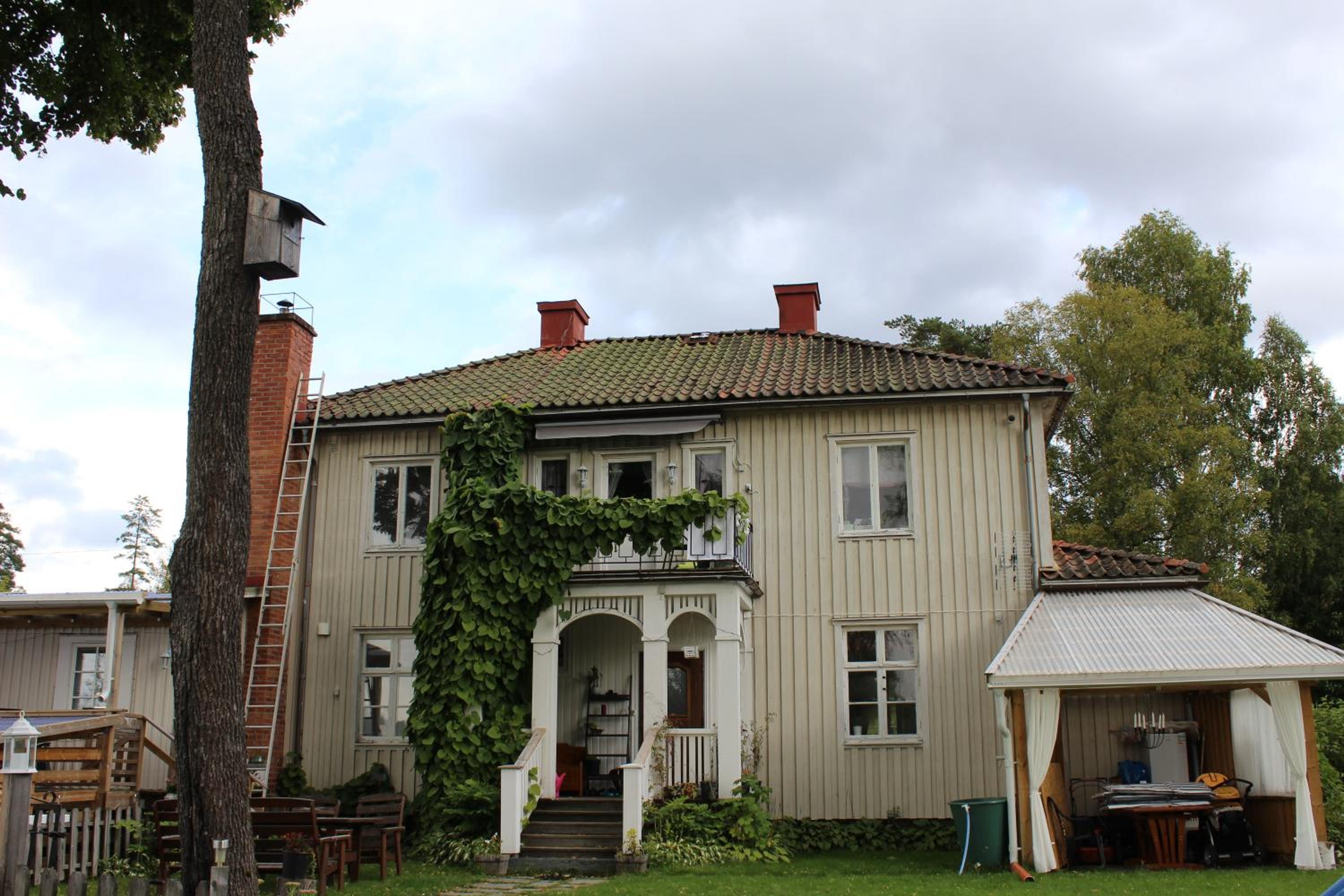 Photo 24