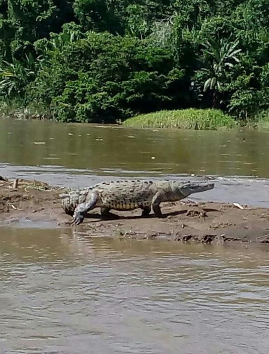 Iguanitas Lodge