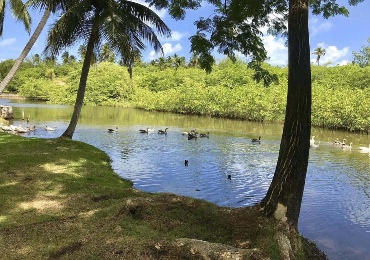 Eco Pousada Paraíso dos Coqueirais