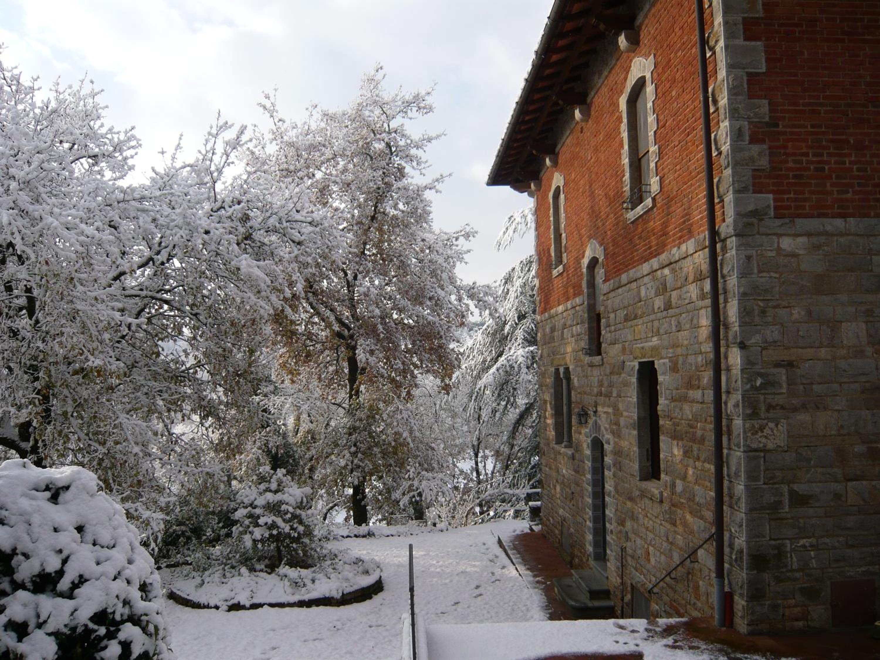 Photo 8