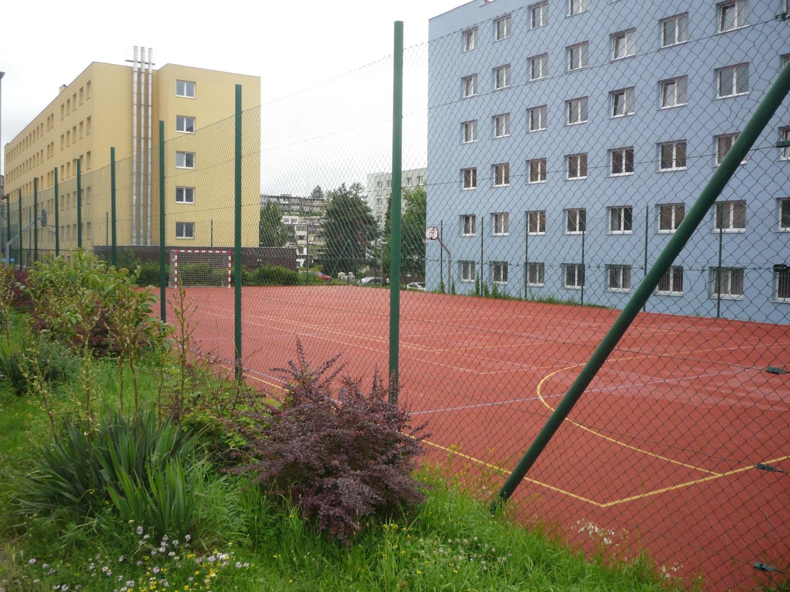 Photo 10