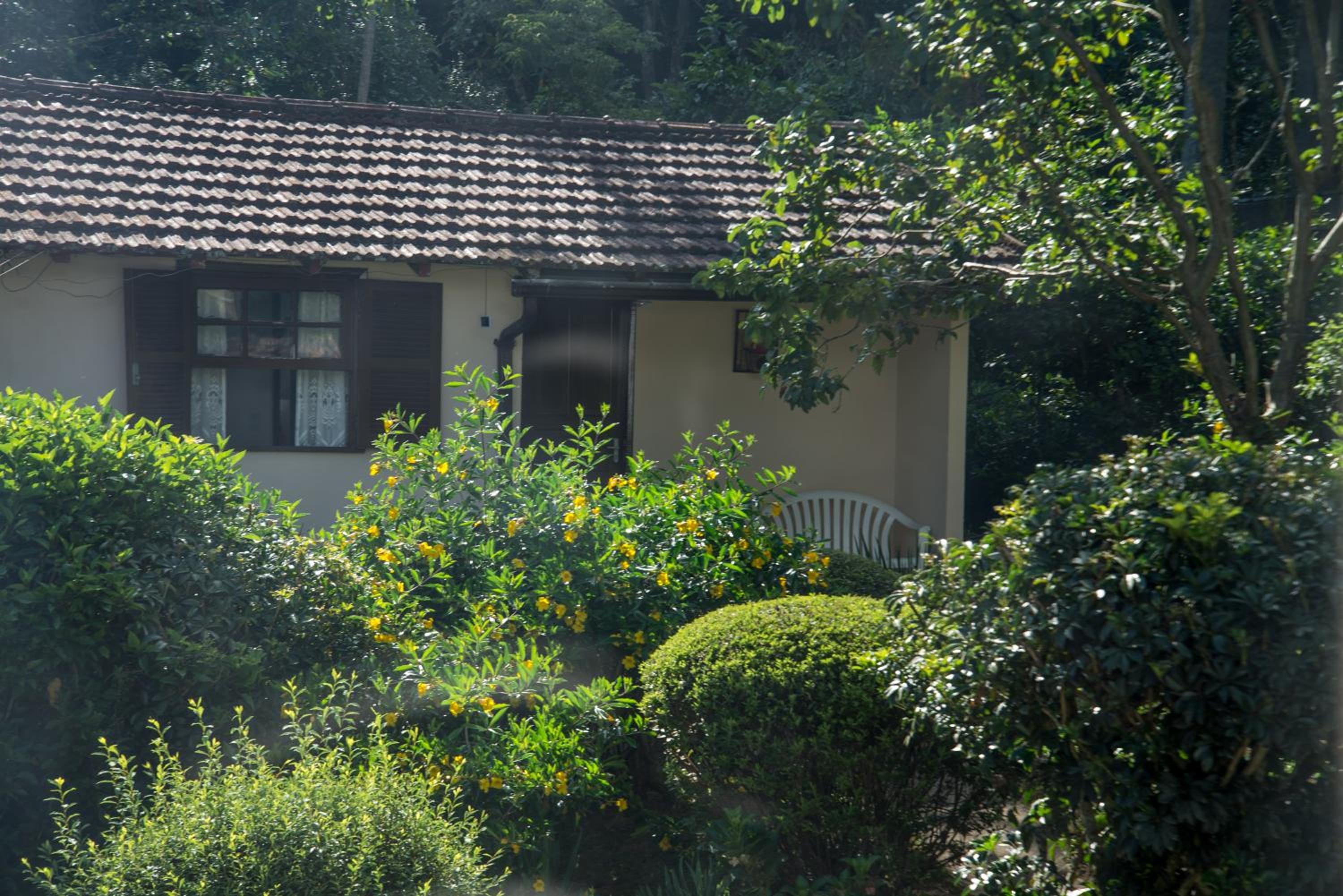 Casa do lenhador