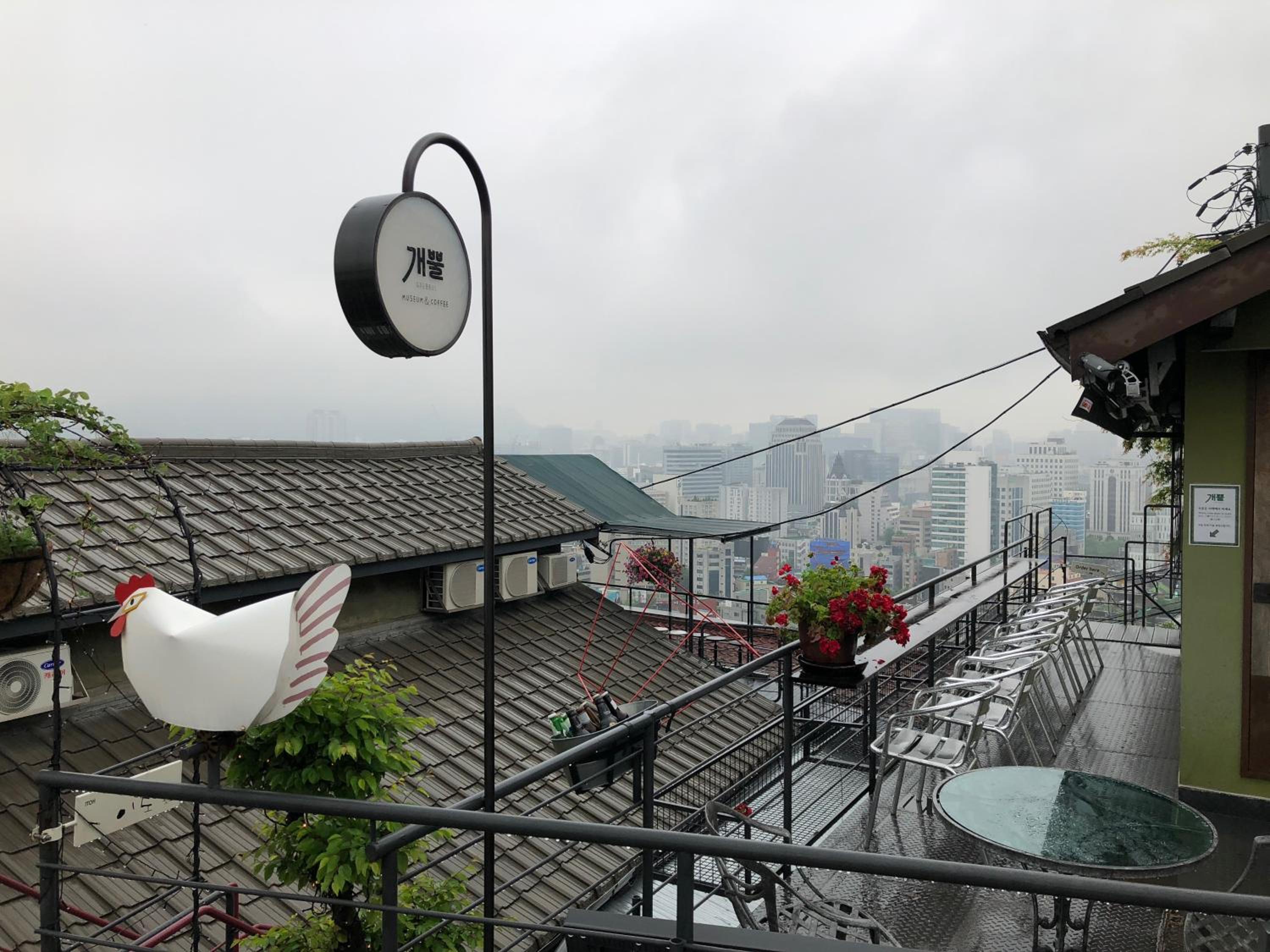 roof