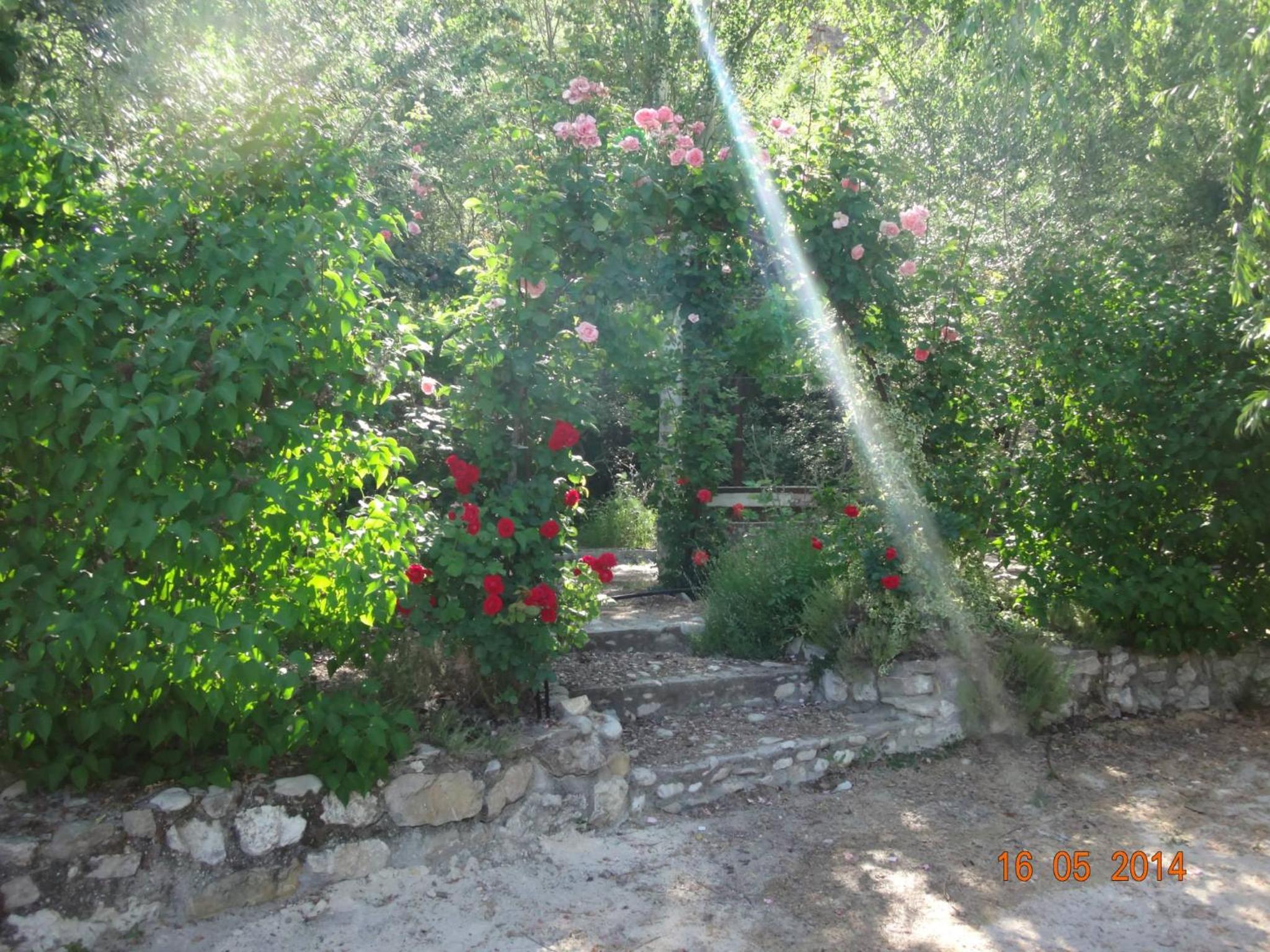 Photo 34