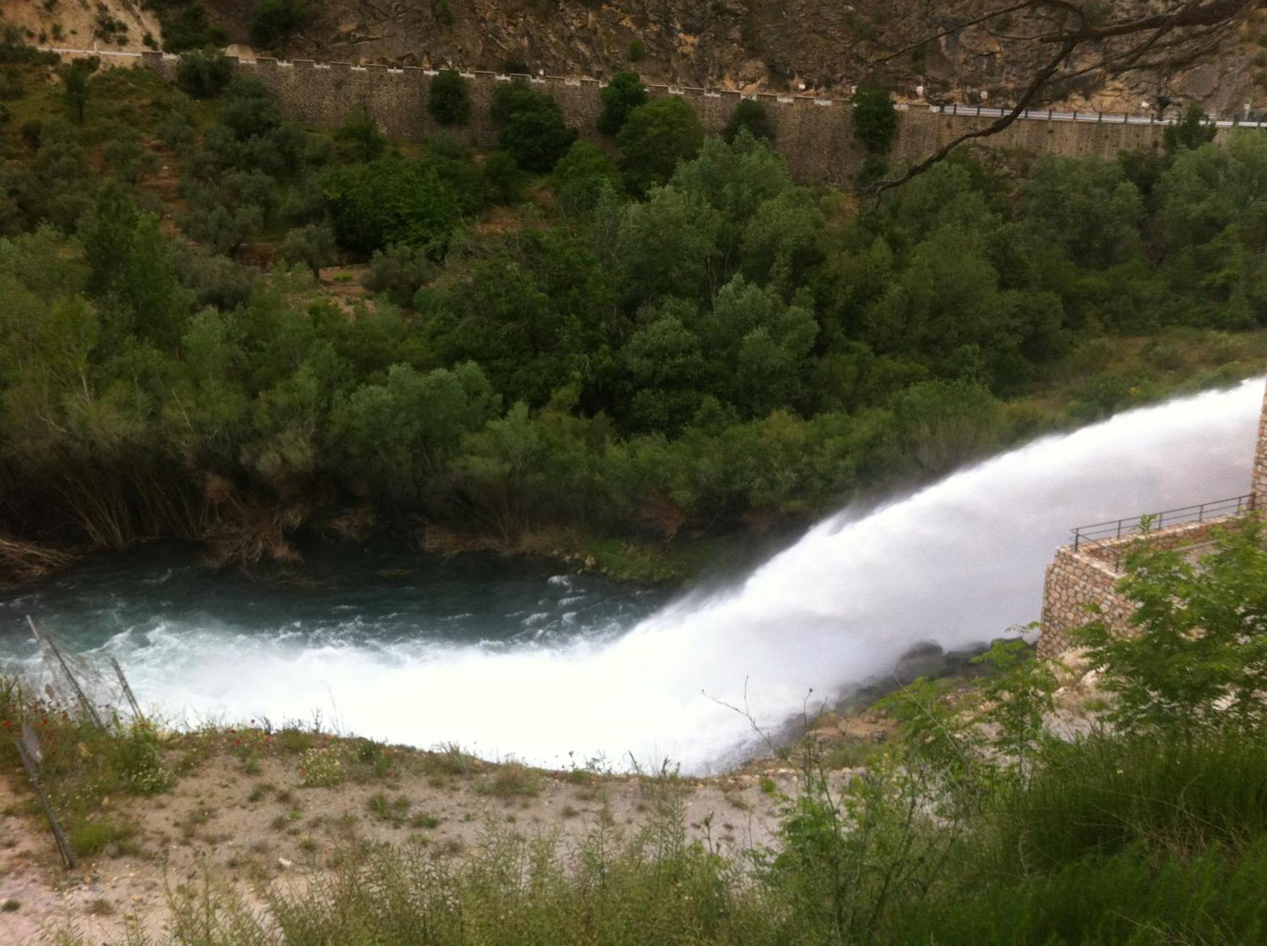 Photo 7