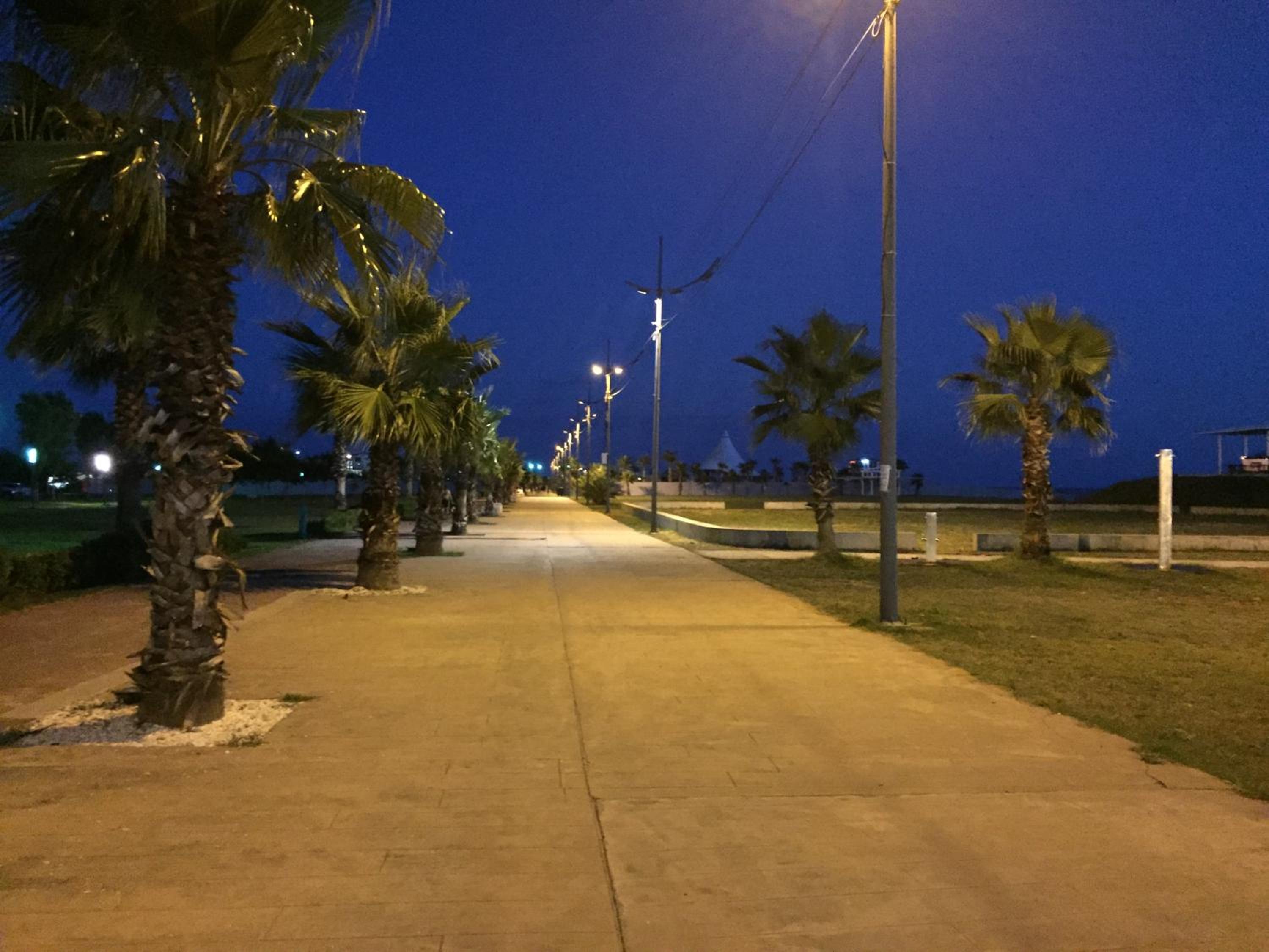 Photo 42