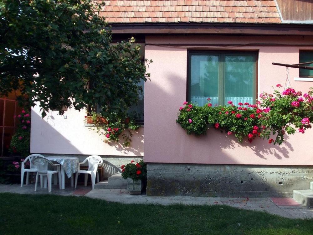 Photo 31