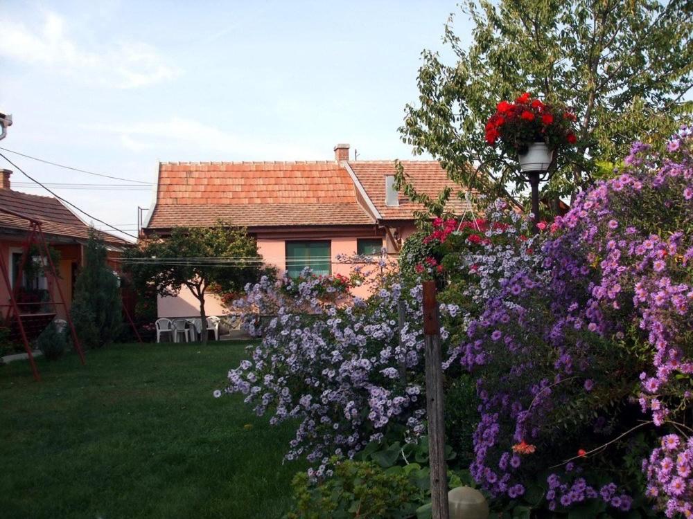 Photo 36