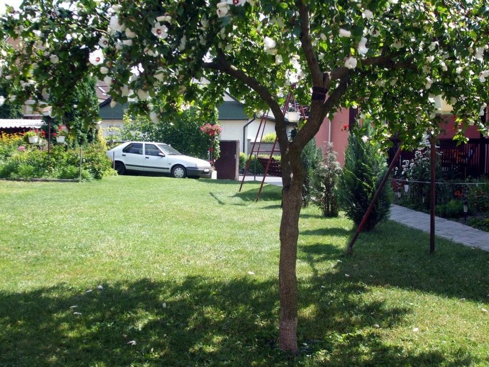Photo 34