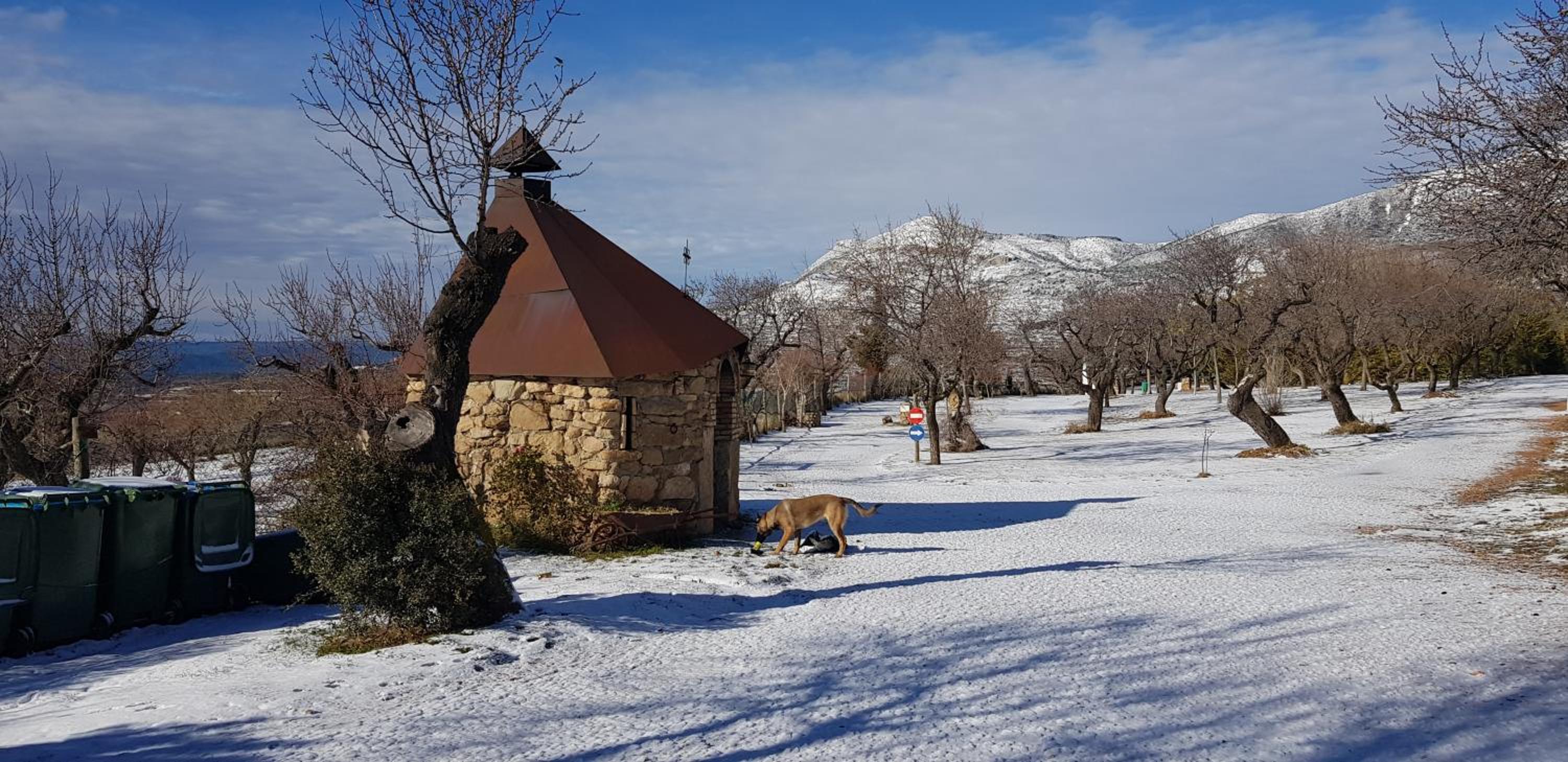 Camping Castillo de Loarre