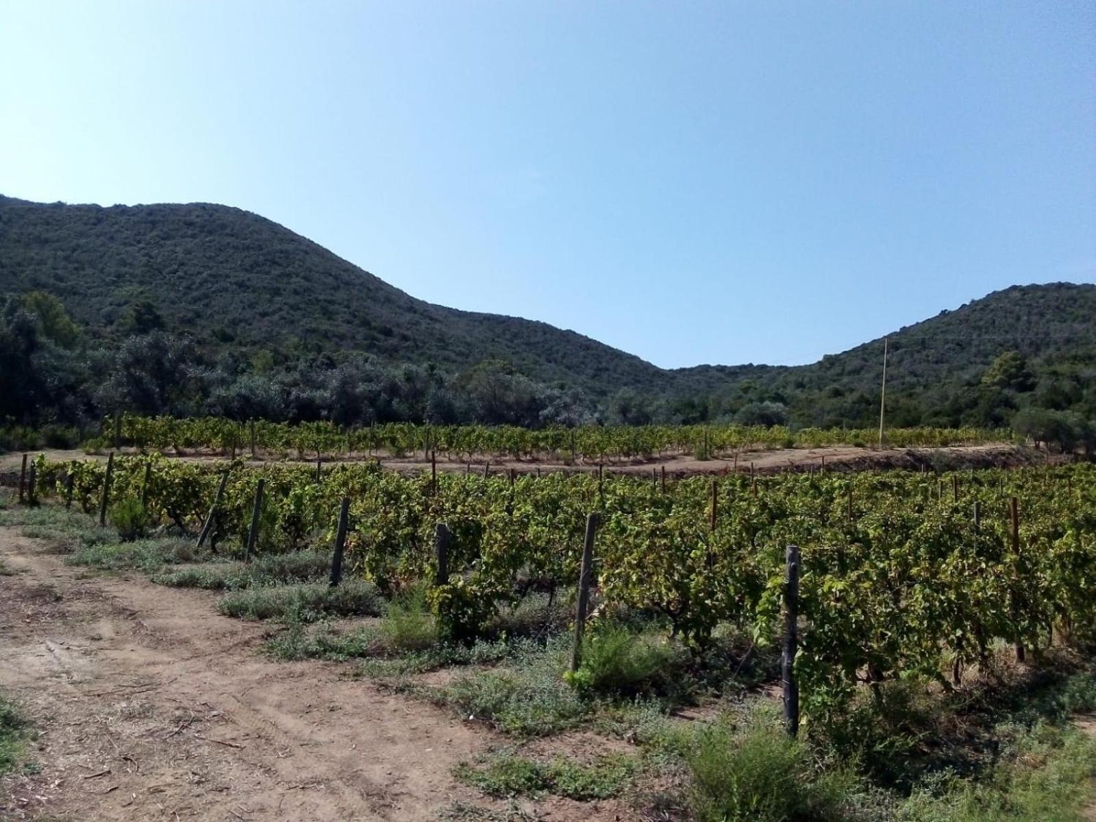 Agriturismo Galenzana