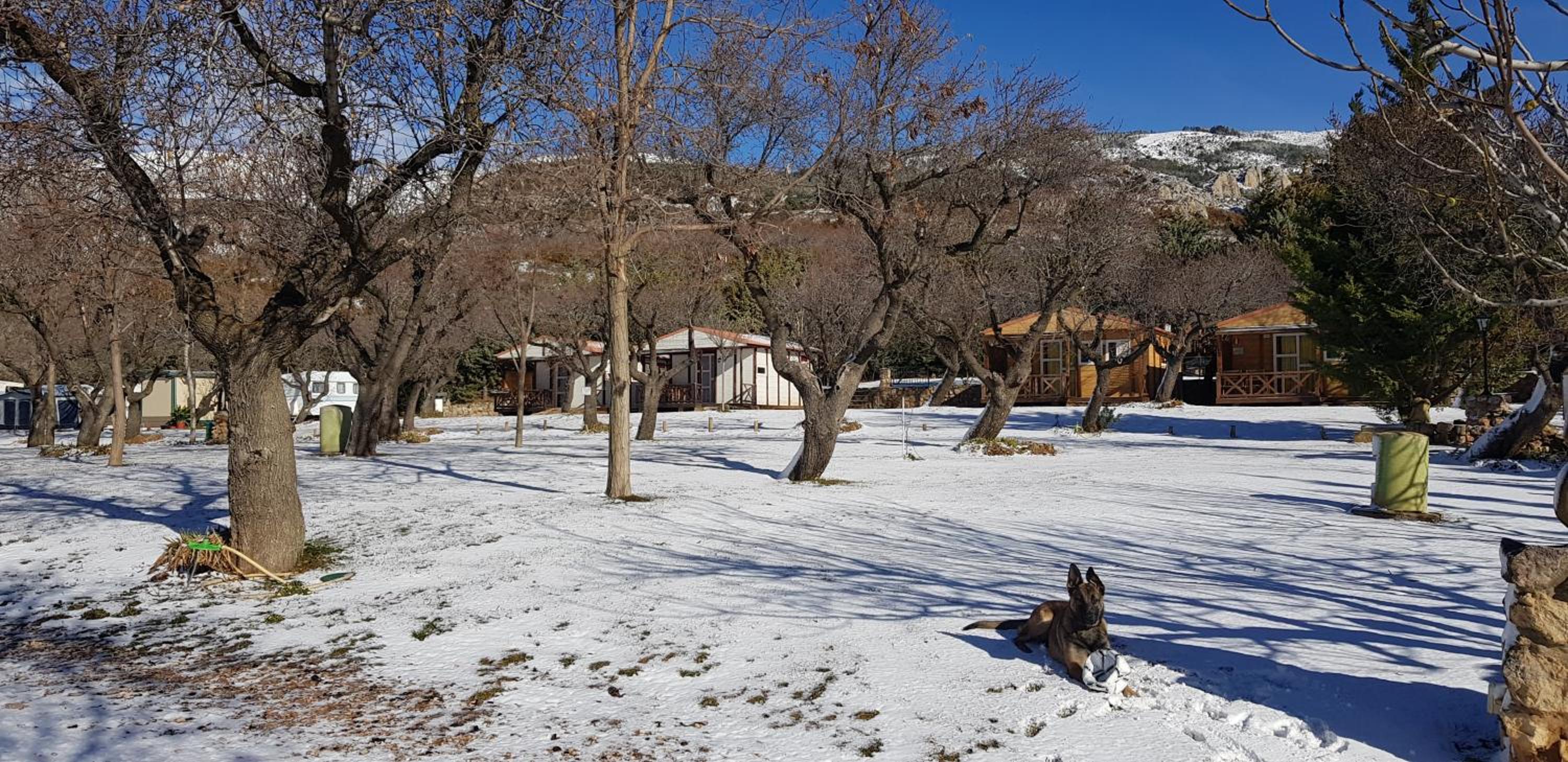 Camping Castillo de Loarre