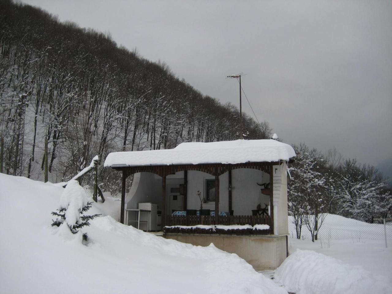 Bungalows Zdravets
