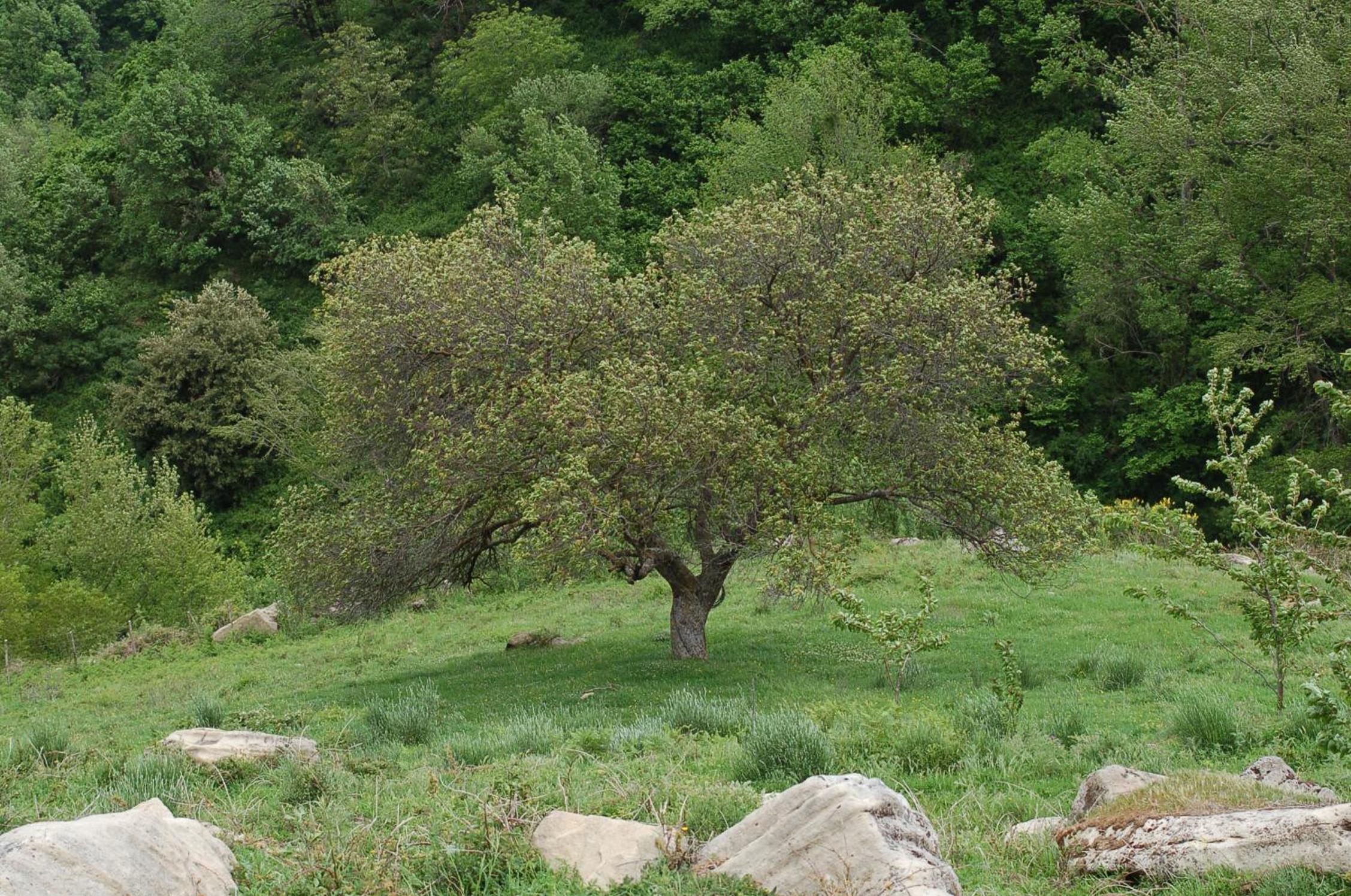 Photo 24