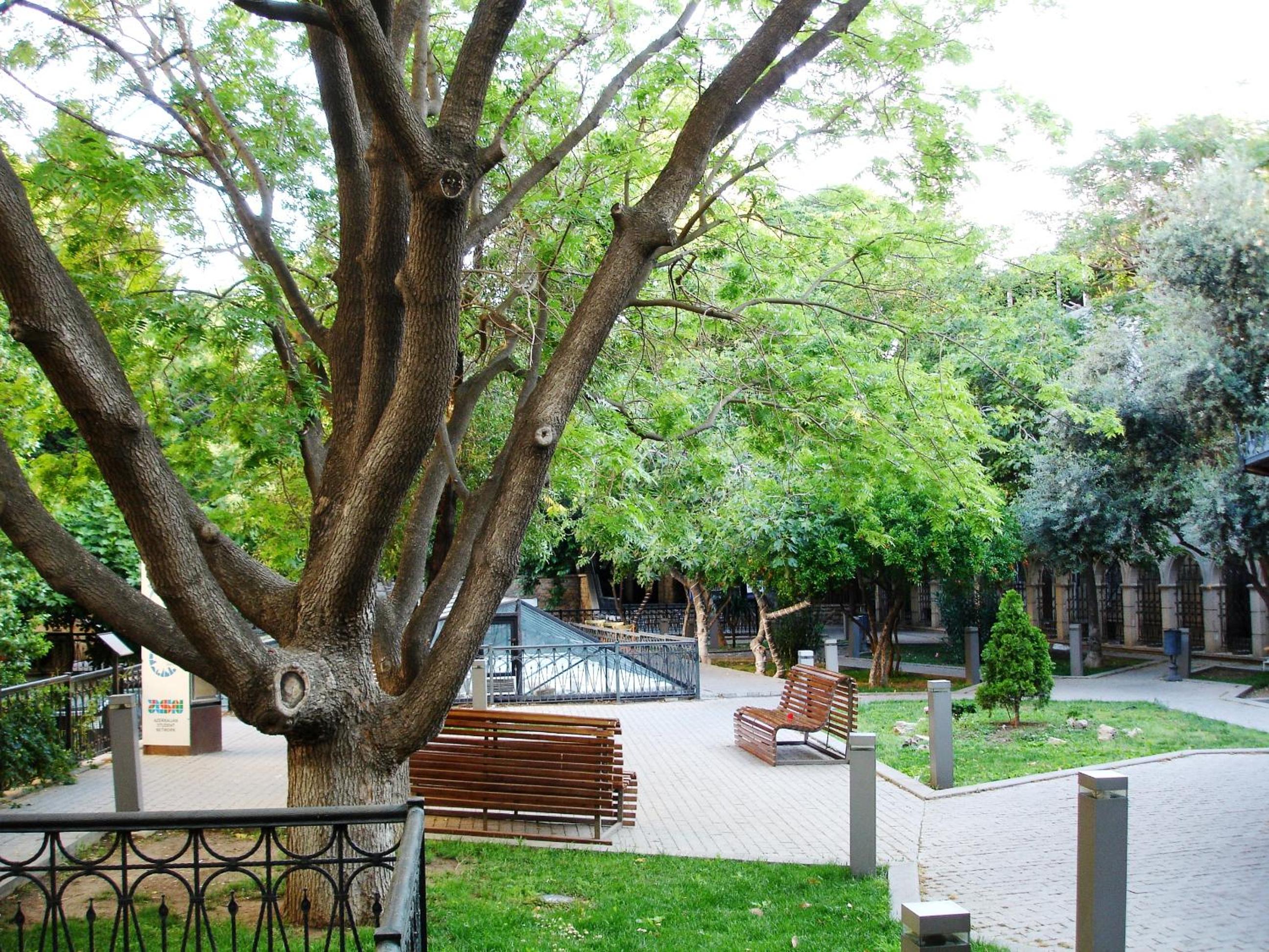 Apartment in Old City Baku