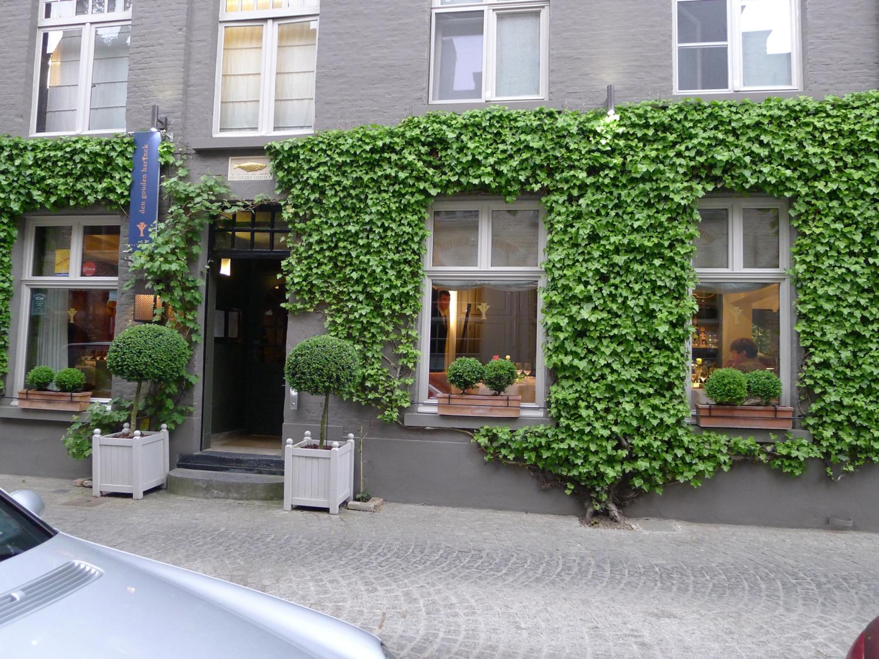 The Herring's Residence - Stylish Private Cottage with Breakfast in Historic Center - Adults-Only