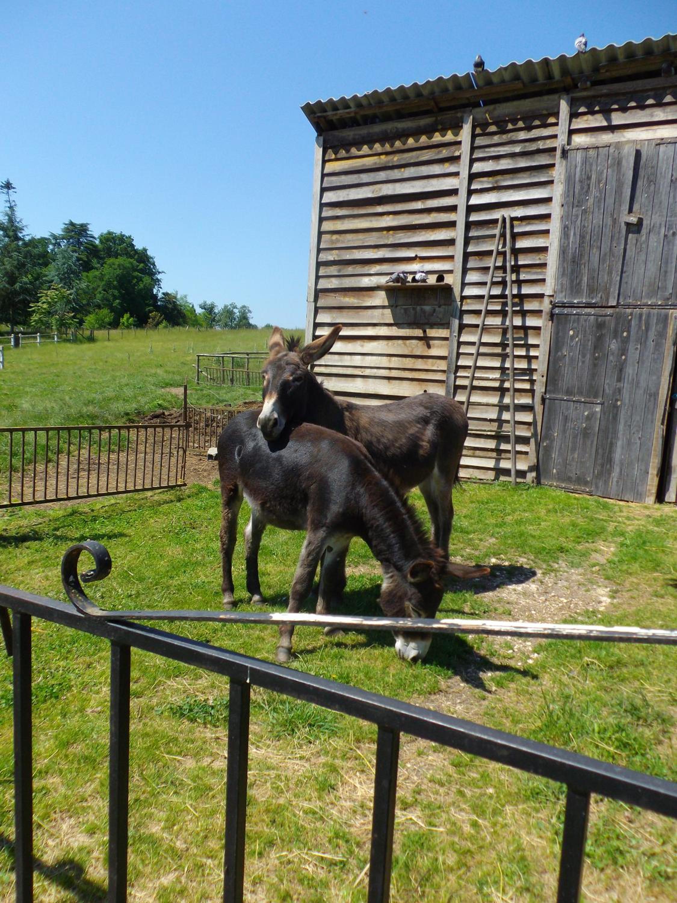 Photo 20