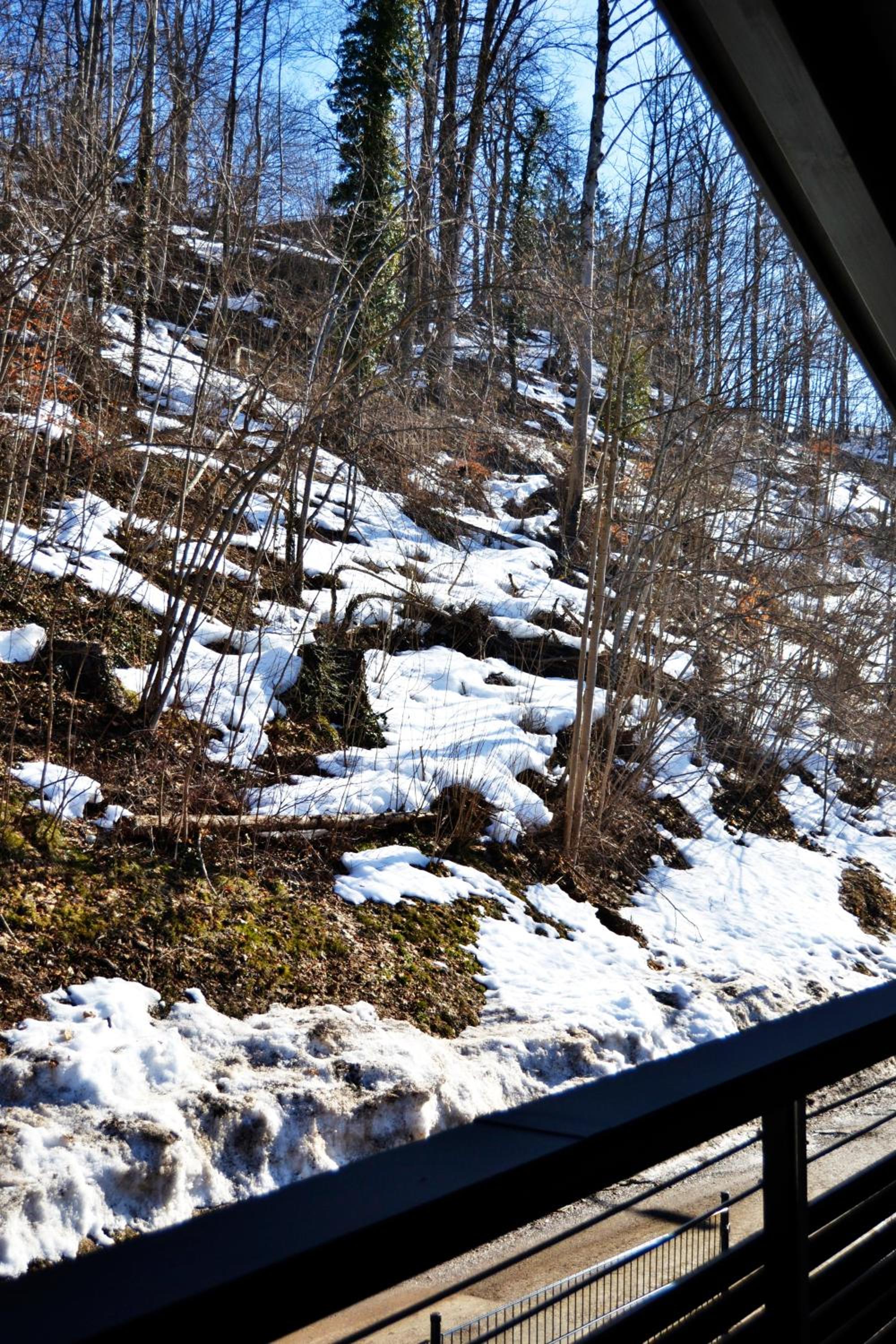 Photo 44