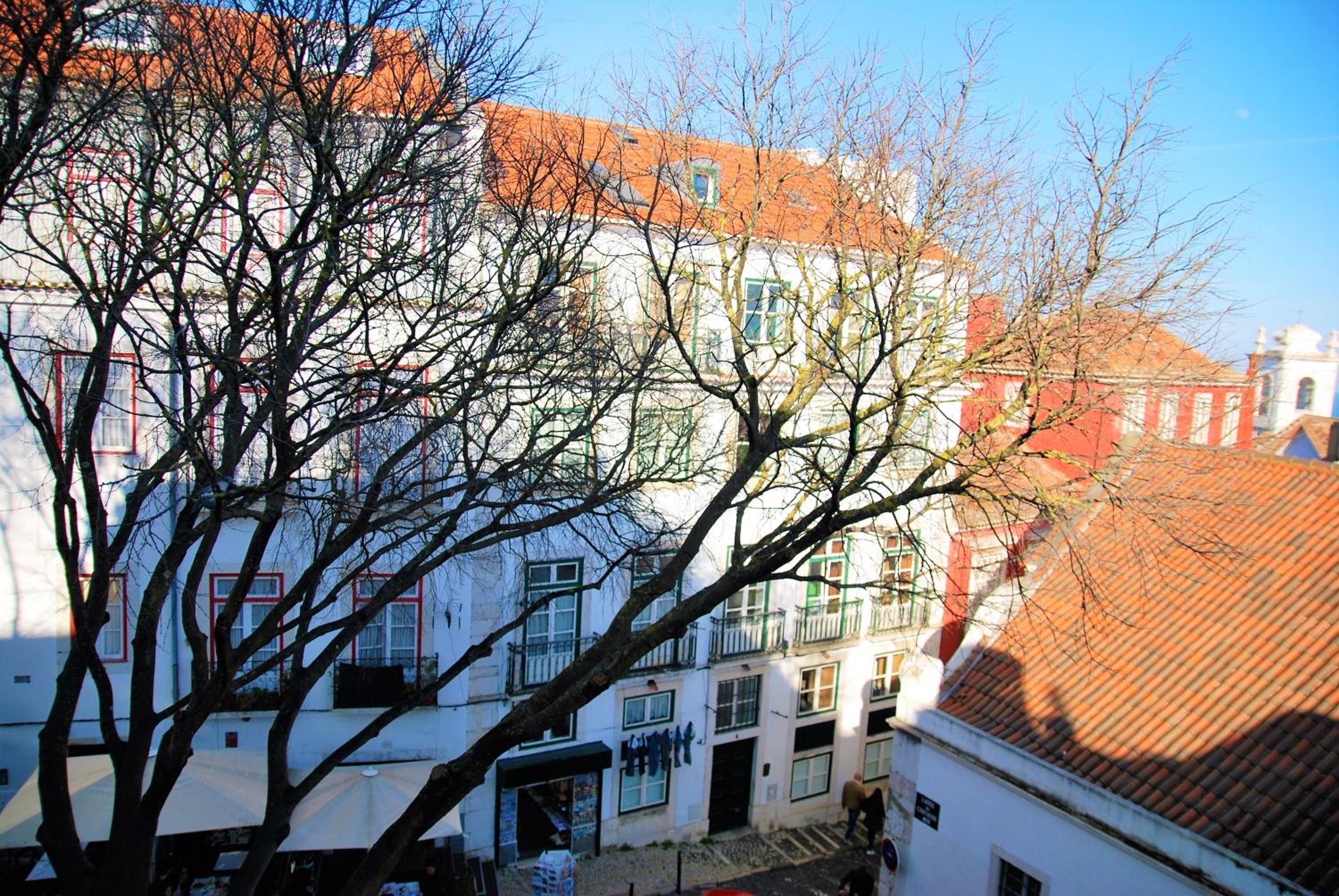 Photo 51