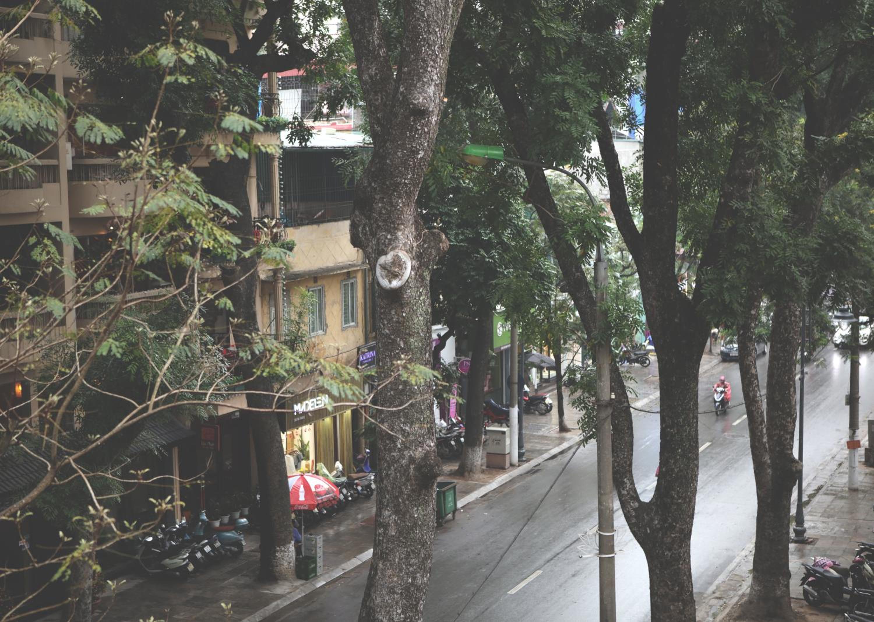 The First Ba Trieu Ha Noi