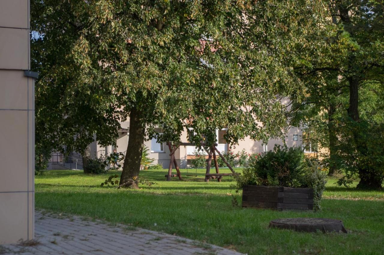 Photo 24