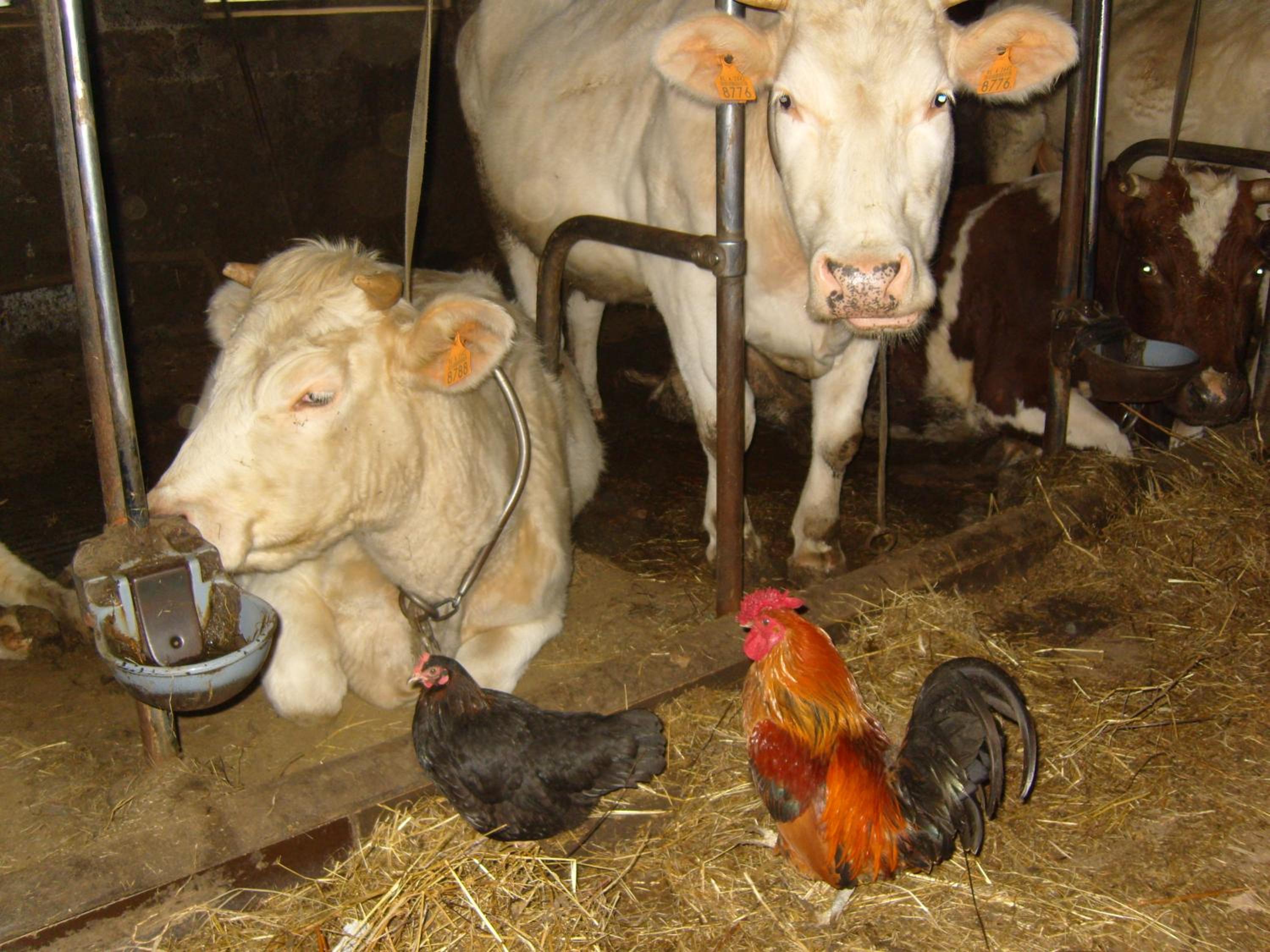 Ferme Hurlet
