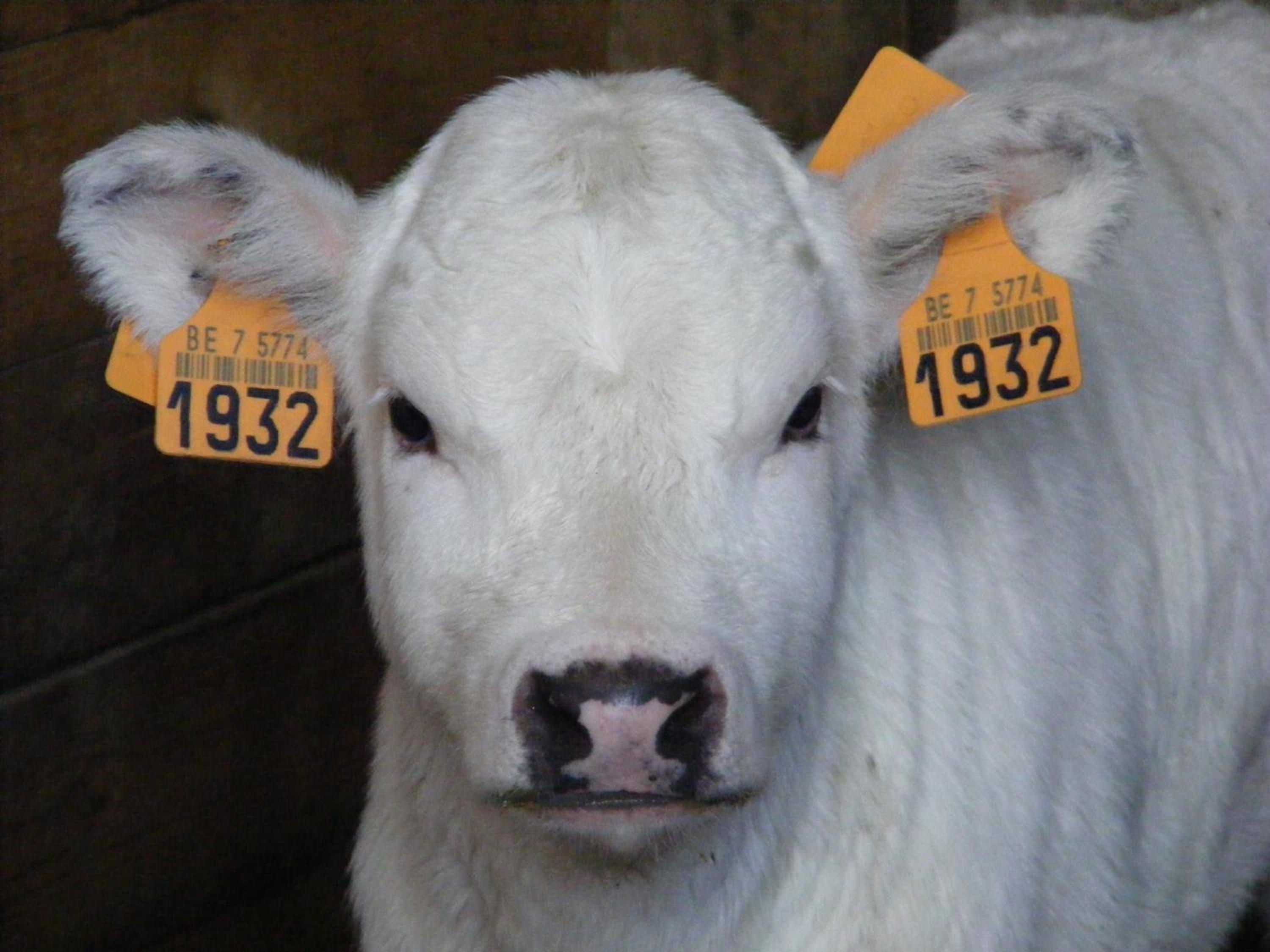 Ferme Hurlet