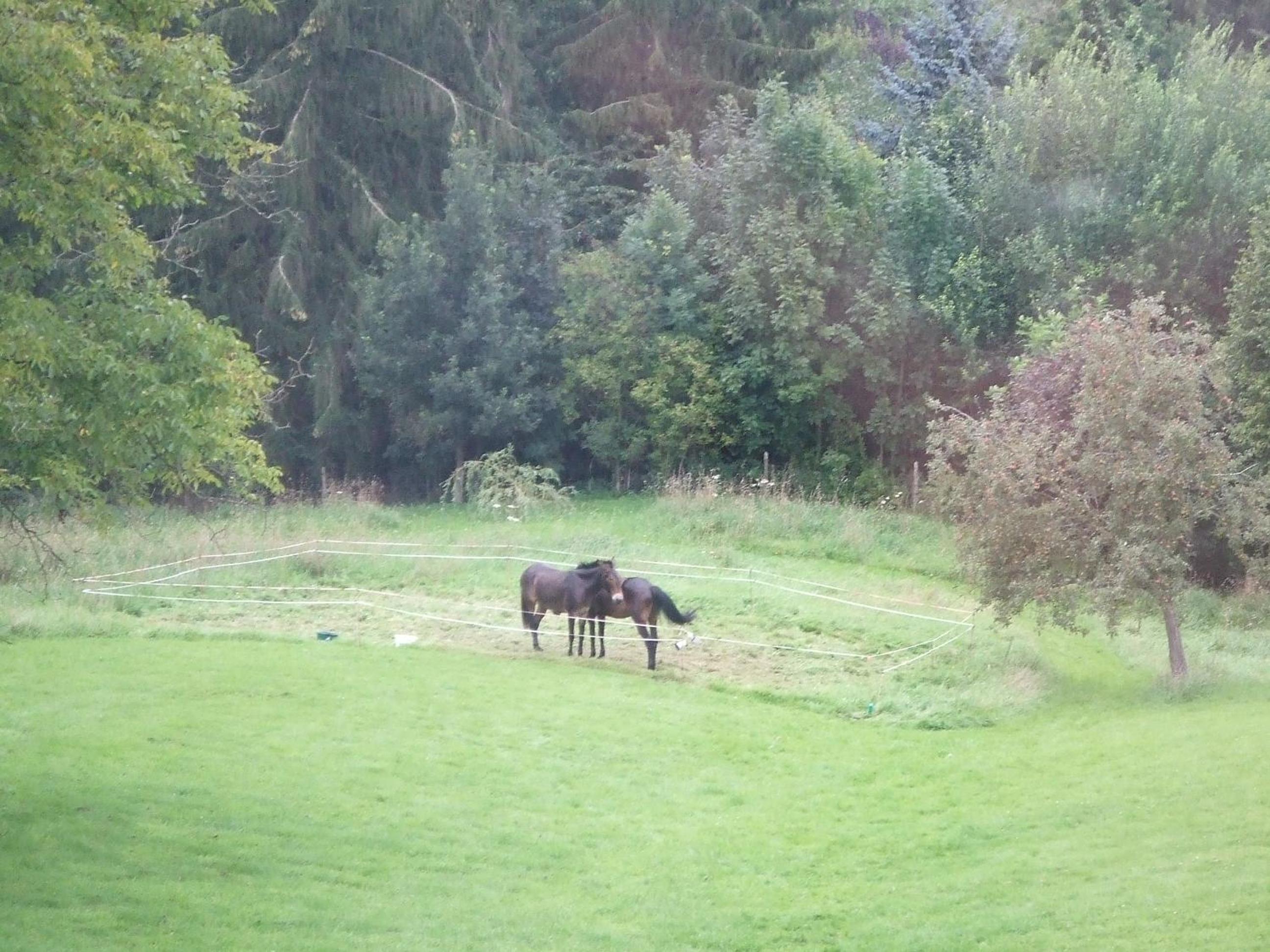 Ferme Hurlet
