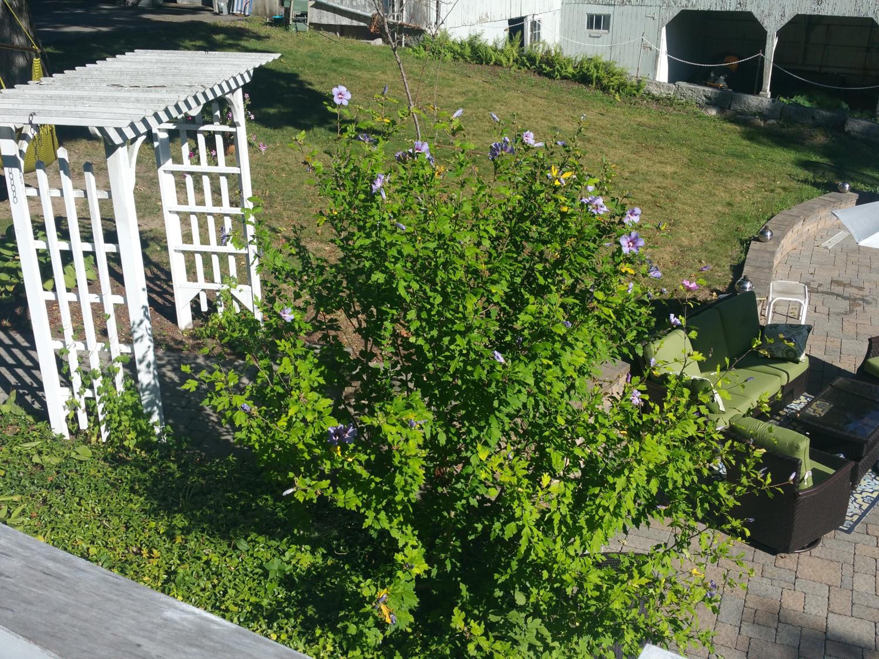 Photo 6