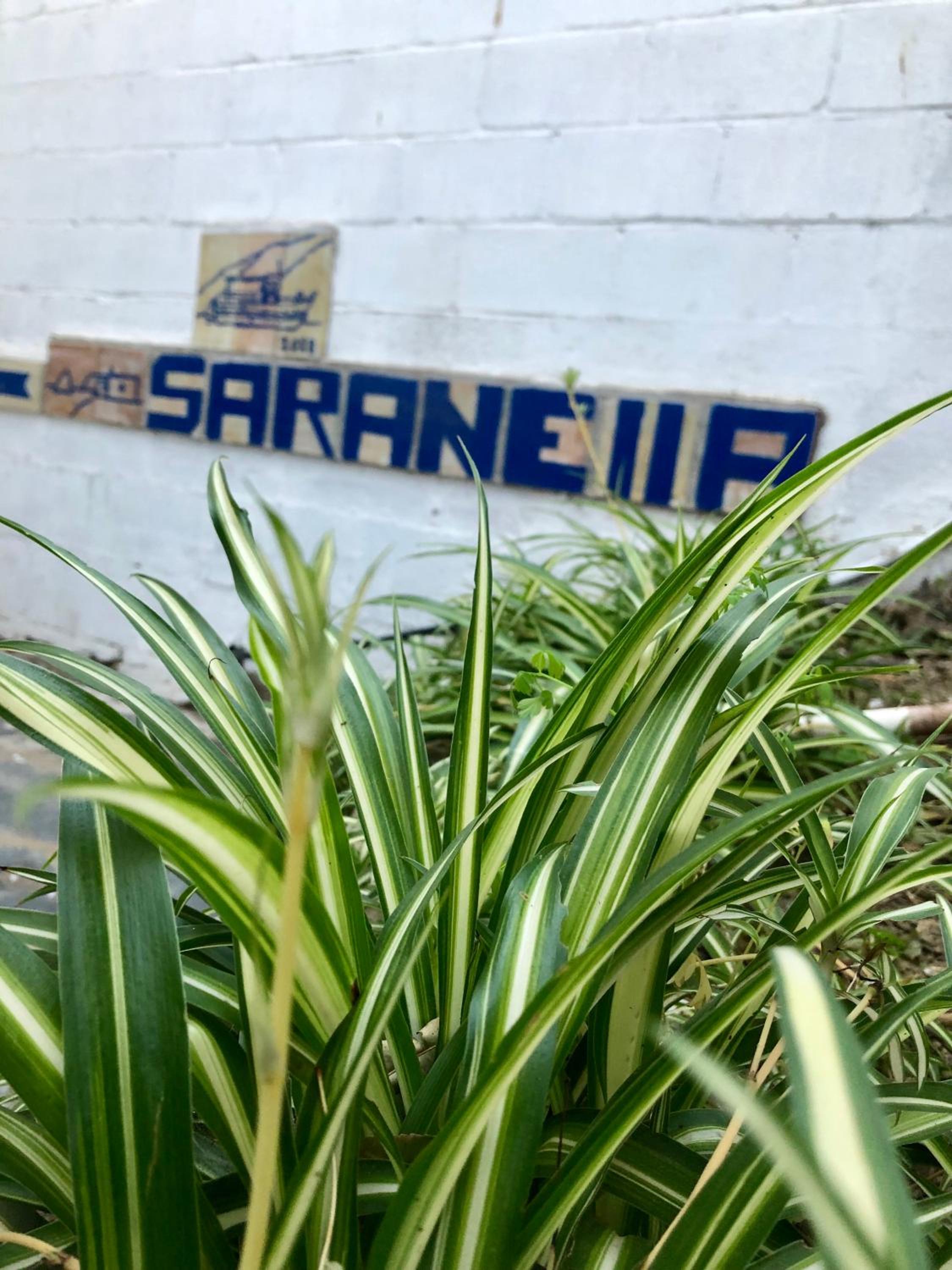 Apartaments S'Arenella