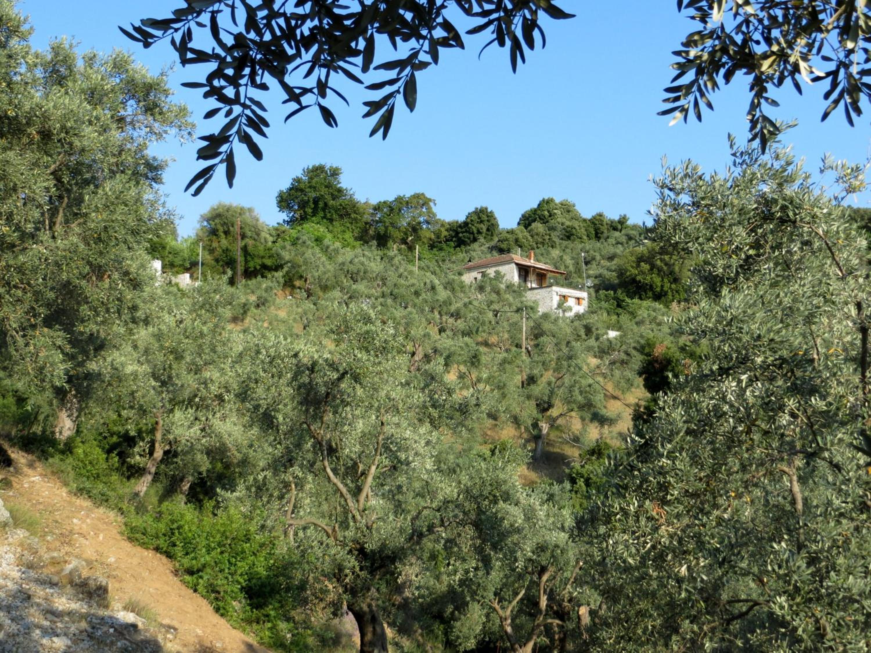 Photo 13