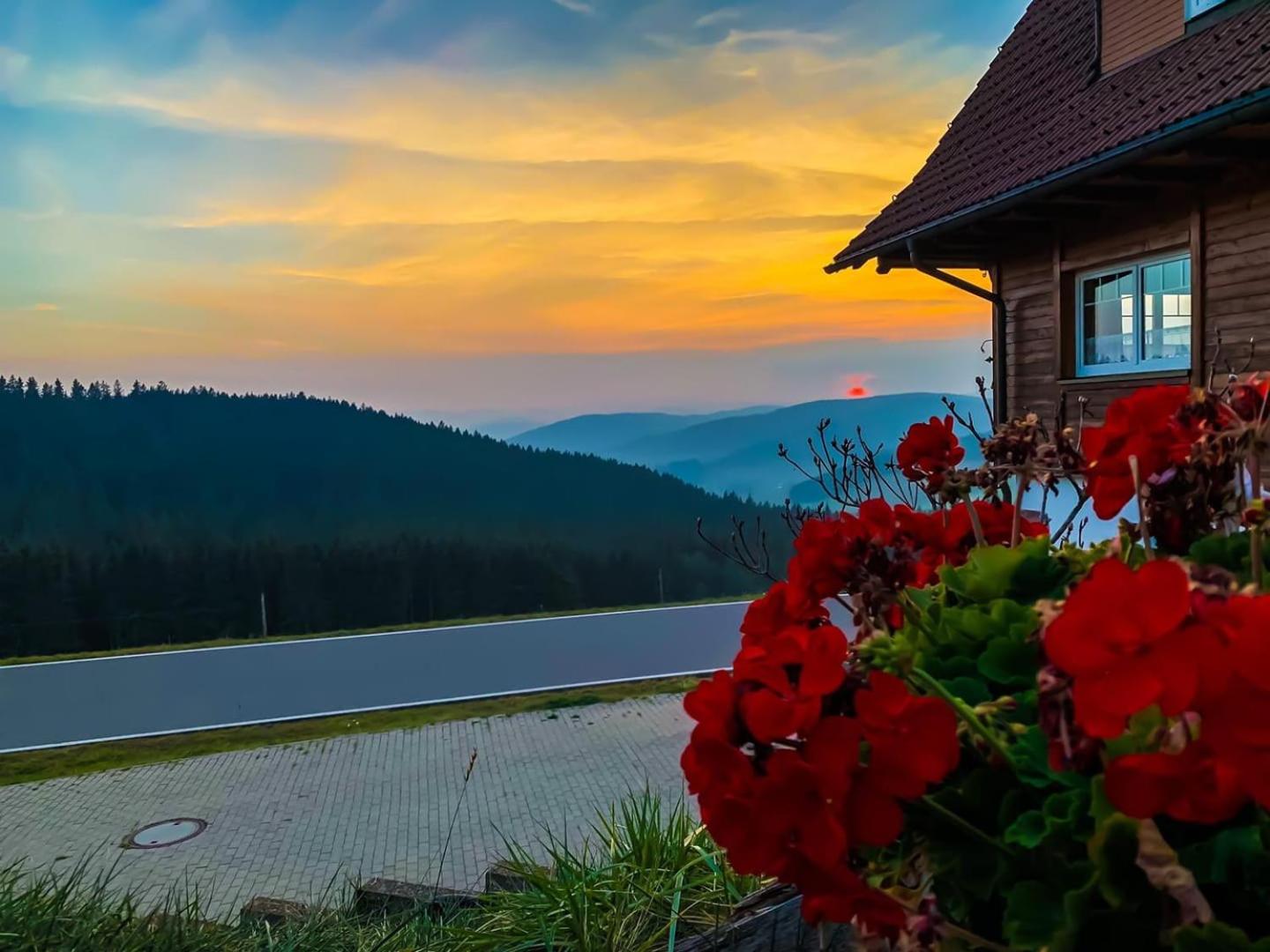 Pension Forsthaus Täle - das Gästehaus vom Schwarzwaldgasthaus Salenhof view 2