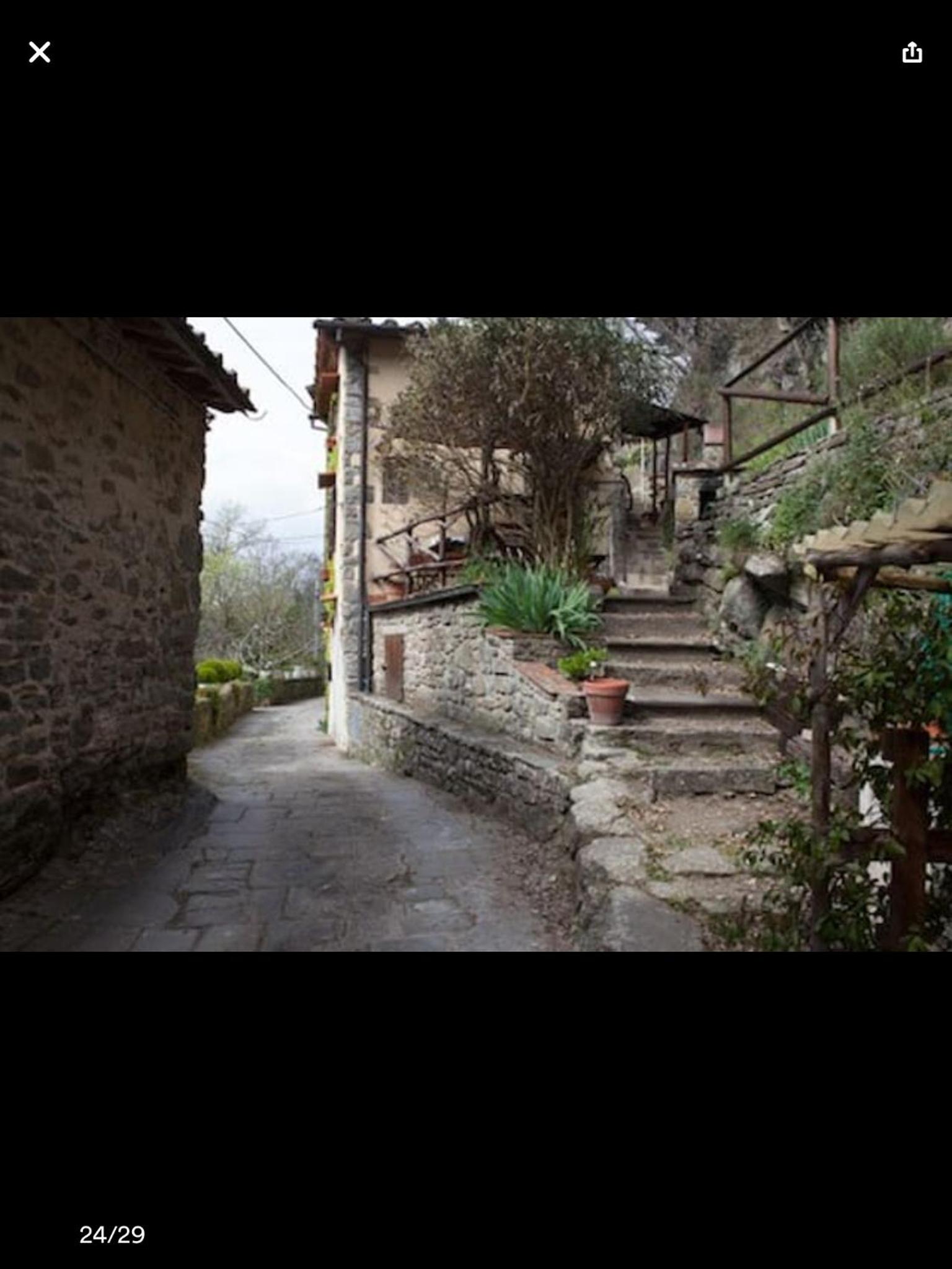 Il Rosmarino view 2