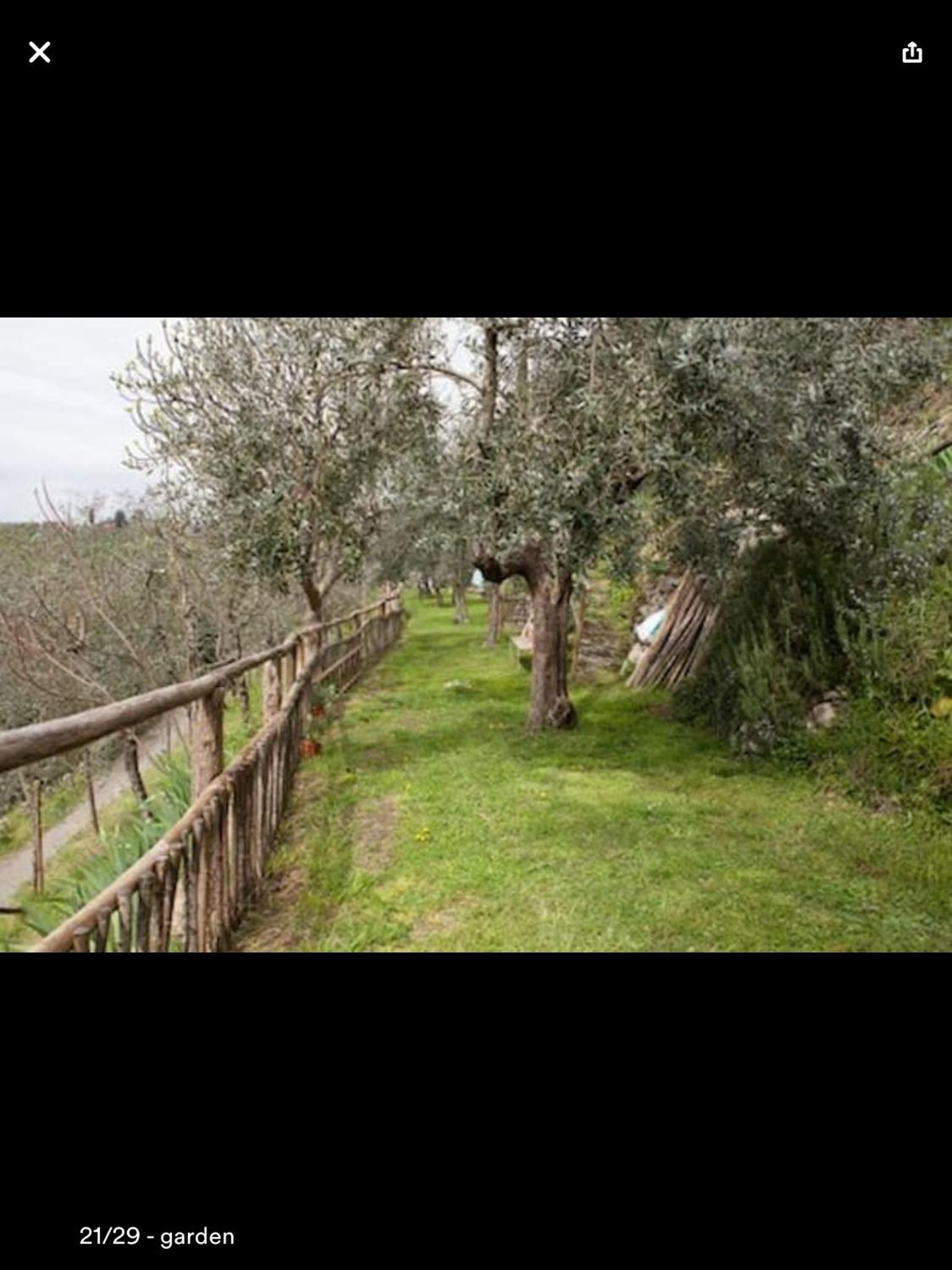 Il Rosmarino view 3