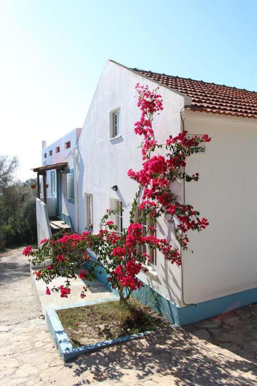 Casa do avô Teixeira