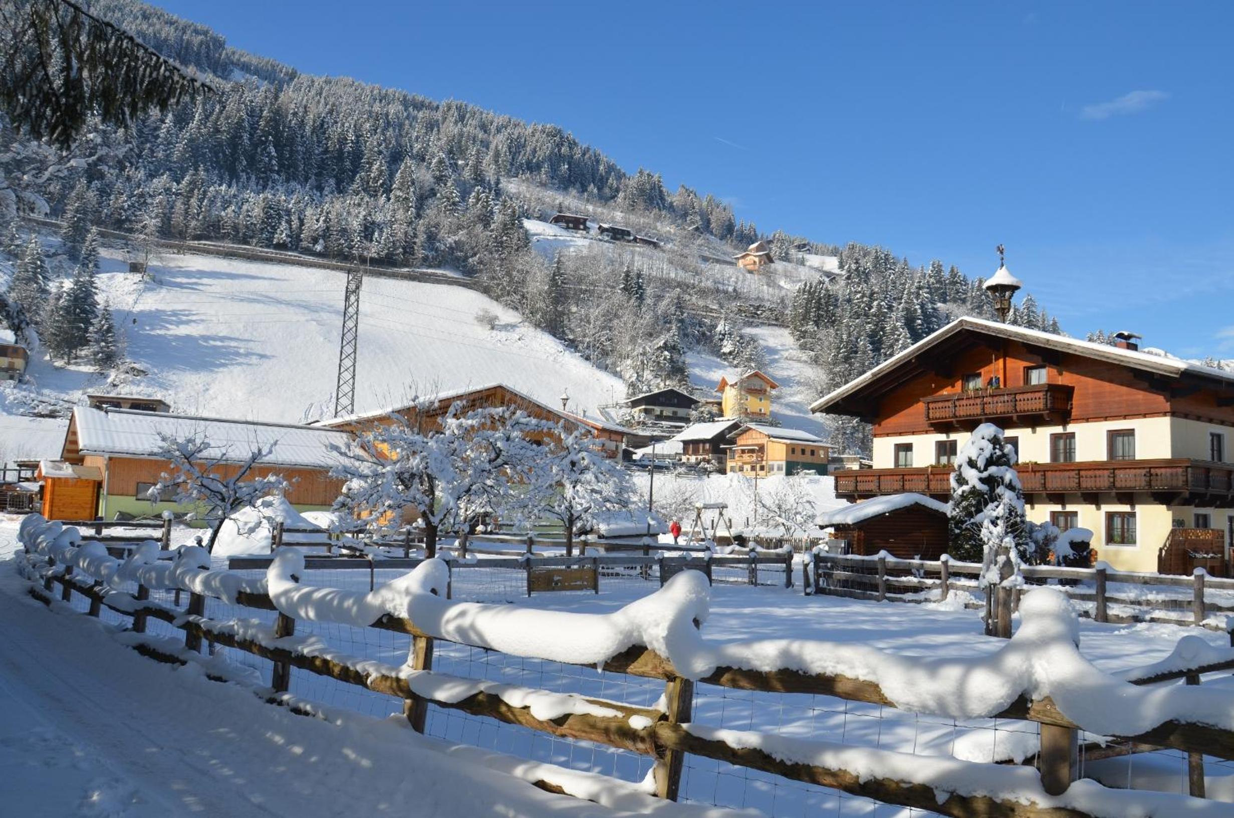 Scheibenhof