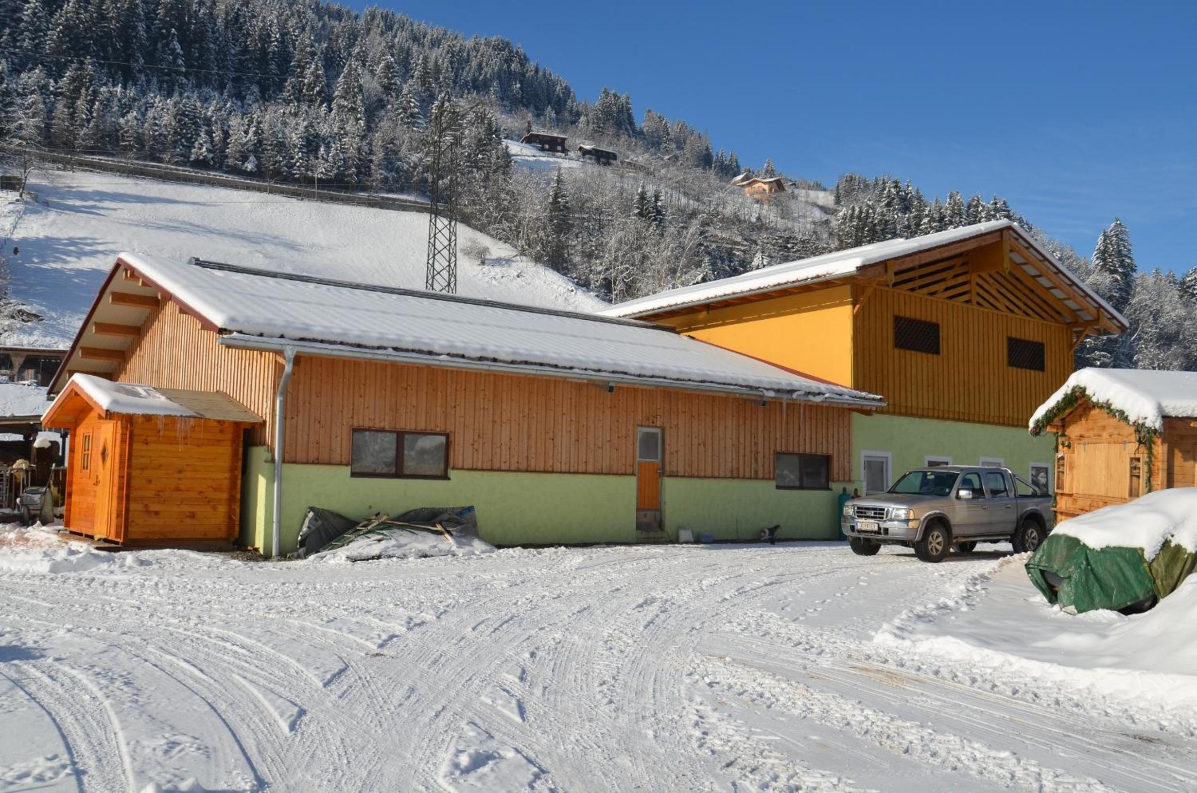 Scheibenhof