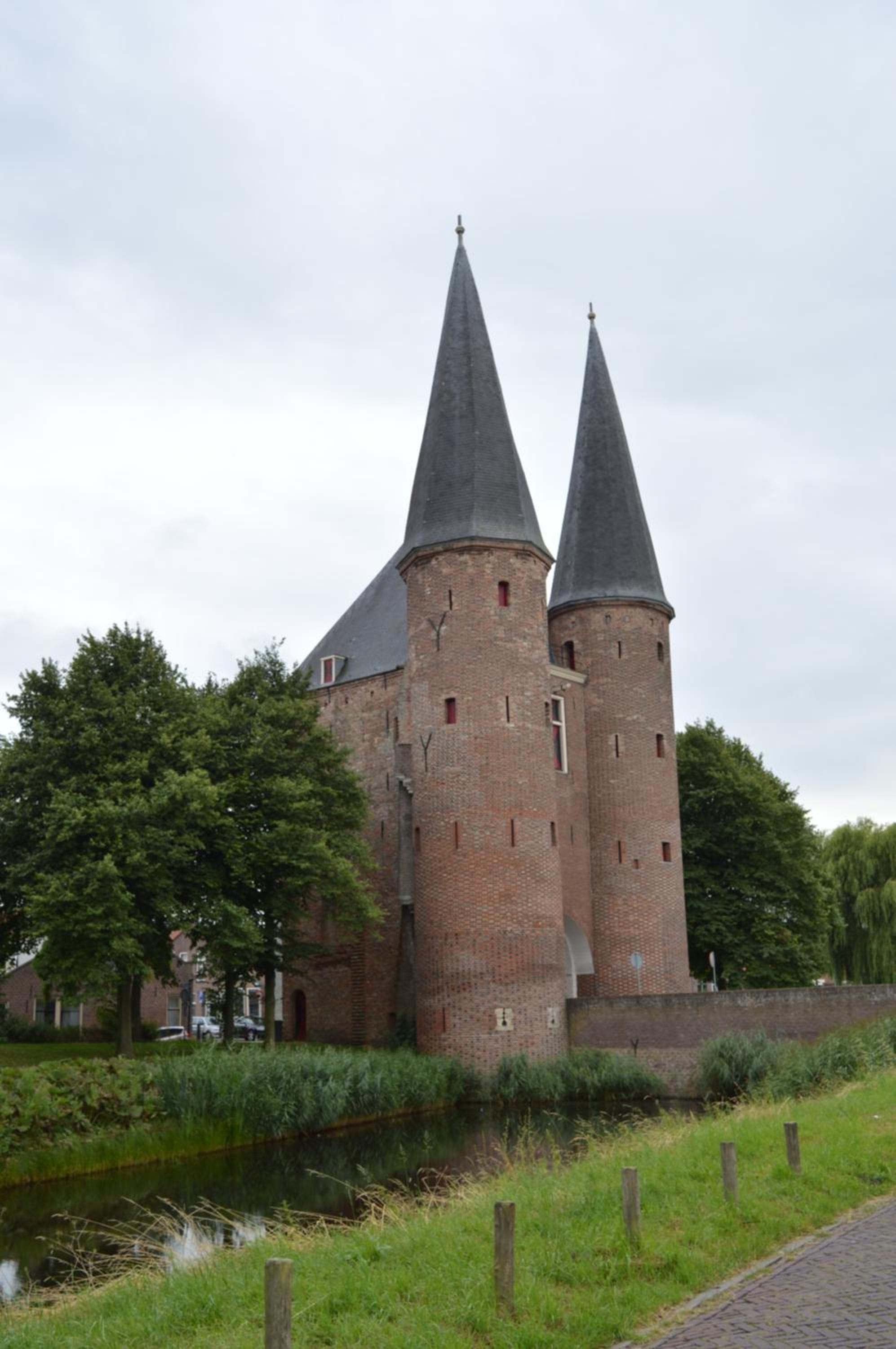 Photo 19