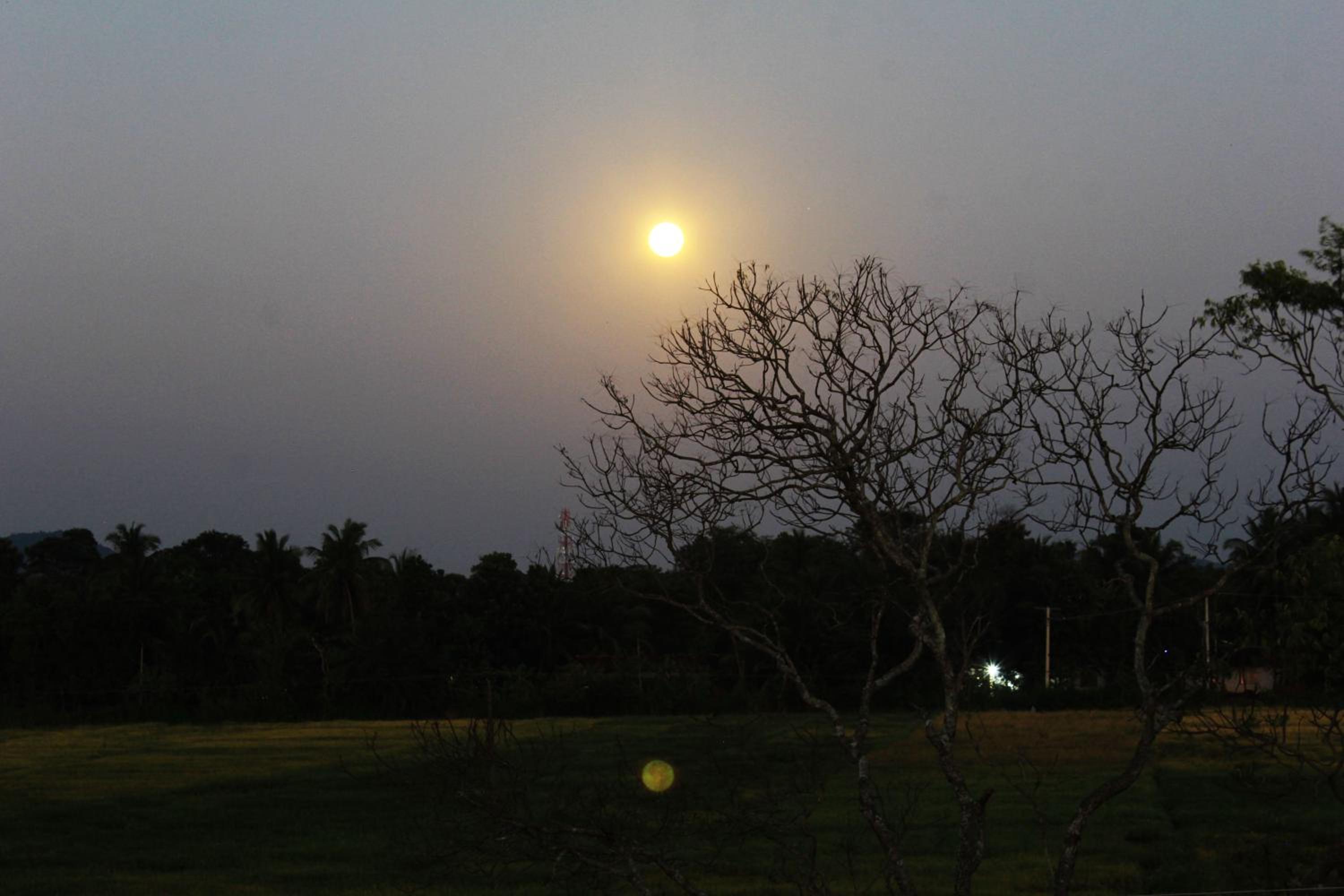 Sigiriya Water Guest & View Point Restaurant