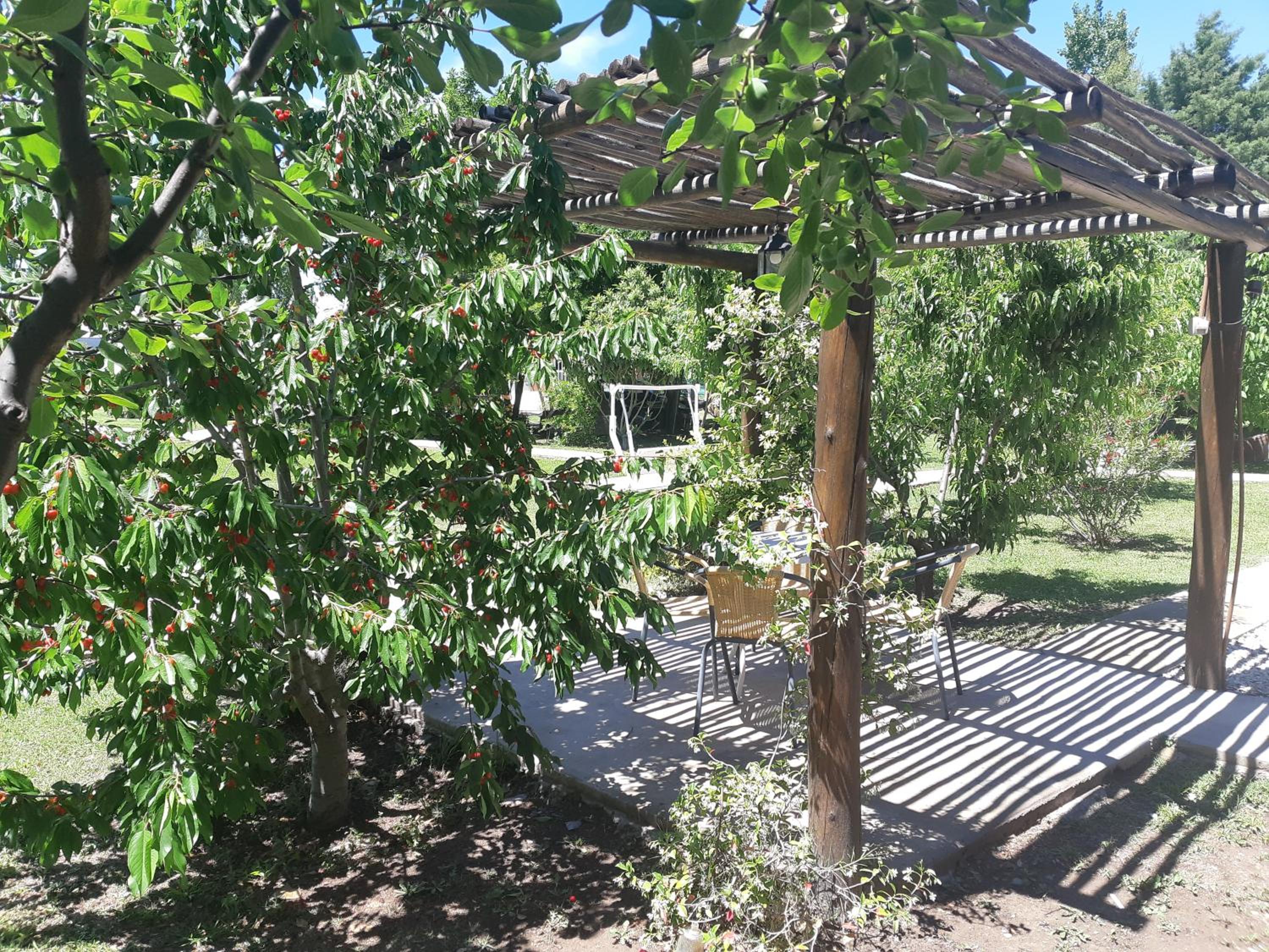 Villa Ciruelos